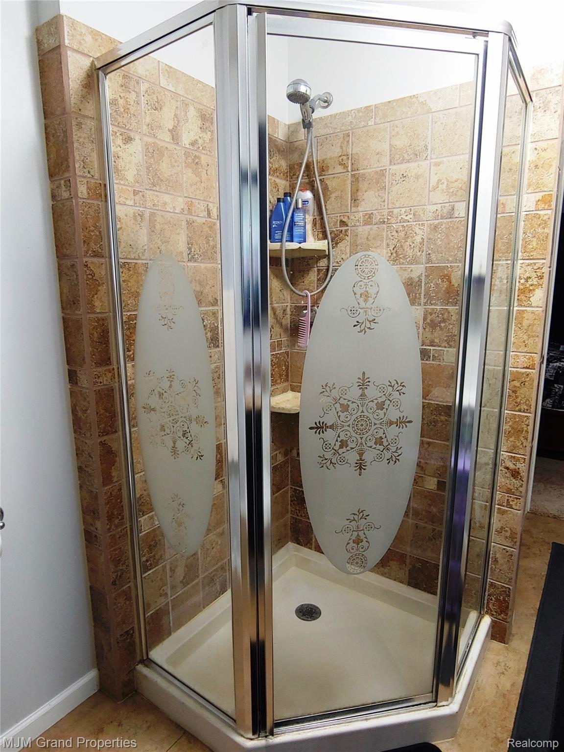 38915 Wade Road Romulus, MI 48174 - Photo 13 of 24 Master Bath Pic 2.jpg