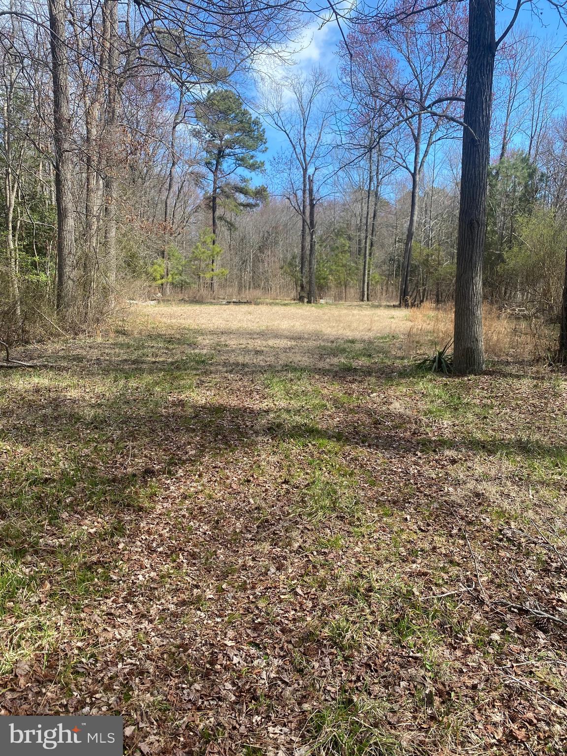 a view of outdoor space with trees
