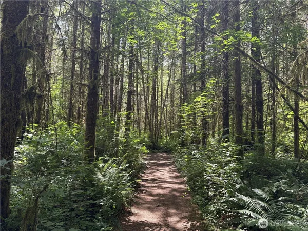 $335,000 | 0 Sr 508, Onalaska, WA 98570