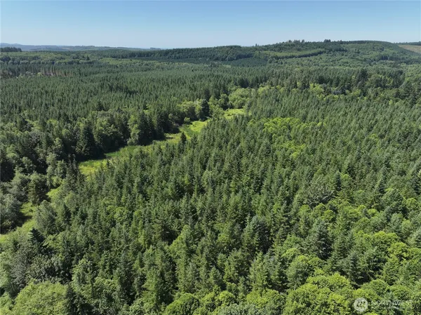 $335,000 | 0 Sr 508, Onalaska, WA 98570