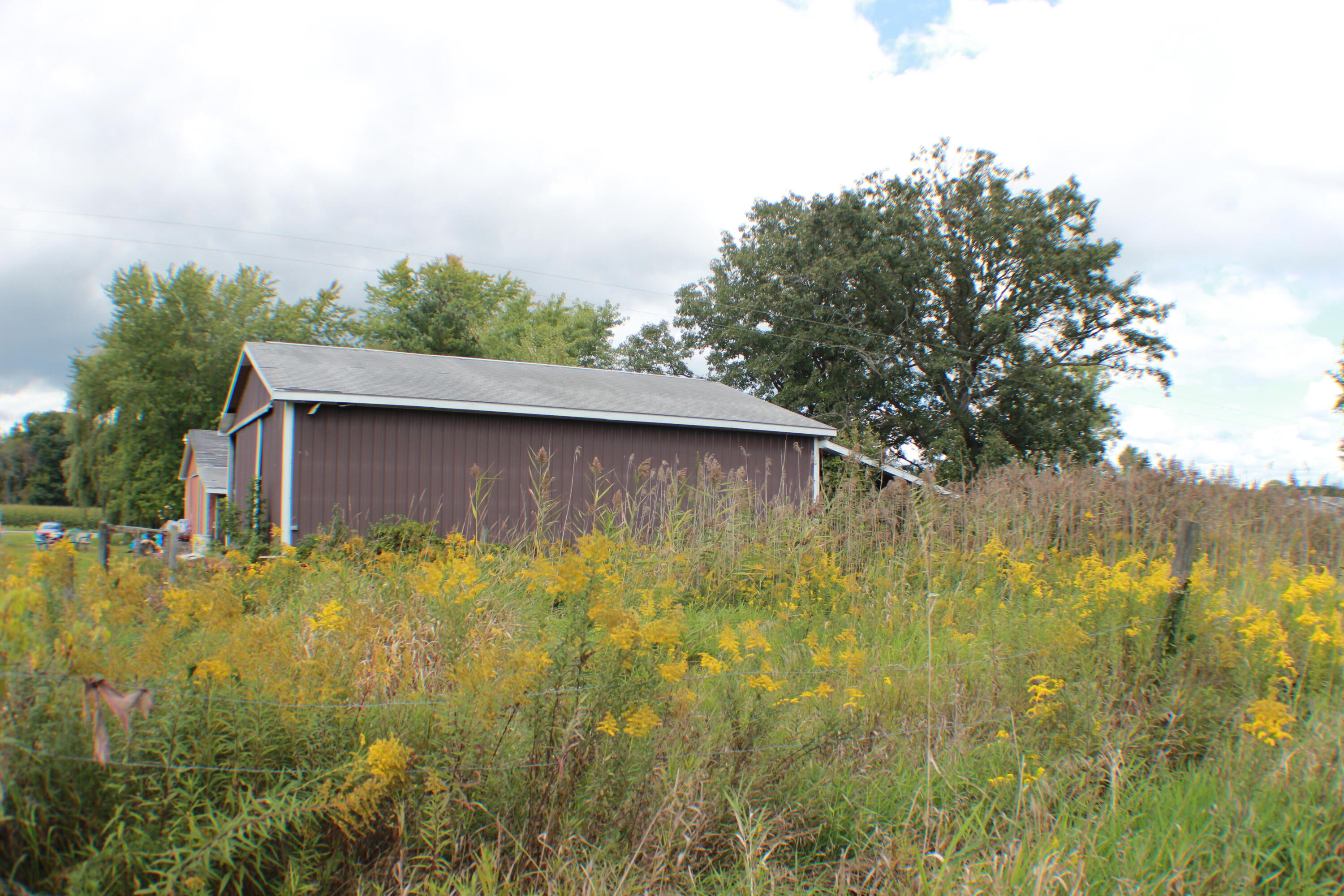 954 East Wilson Road St. Johns, MI 48879 - Photo 17 of 33 IMG_2626