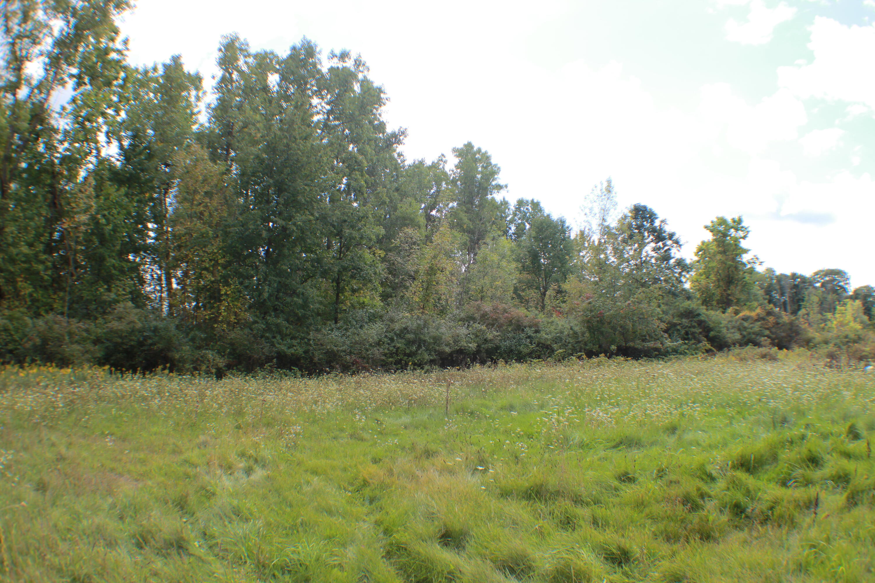 954 East Wilson Road St. Johns, MI 48879 - Photo 26 of 33 IMG_2638