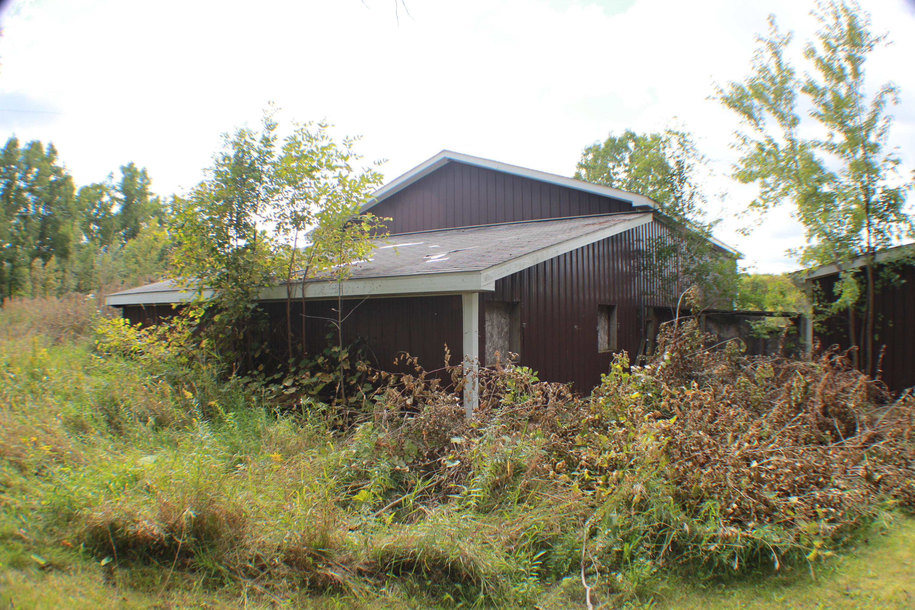 954 East Wilson Road St. Johns, MI 48879 - Photo 28 of 33 IMG_2640