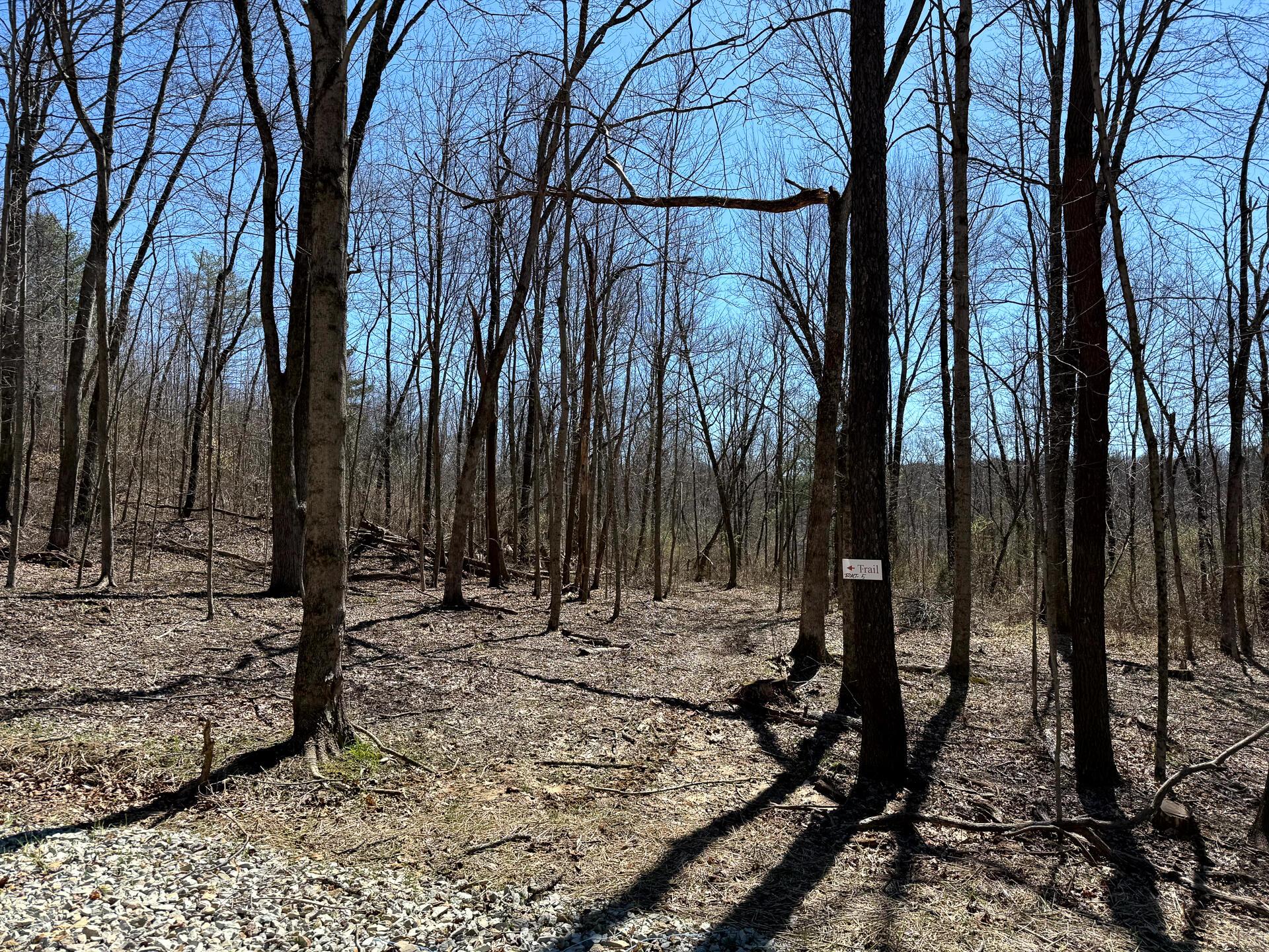 0 Dutch Ridge Road Southeast, Unit WOODS TURKEY RUN TRACT 5) New Lexington, OH 43764 - Photo 13 of 58 CT-13