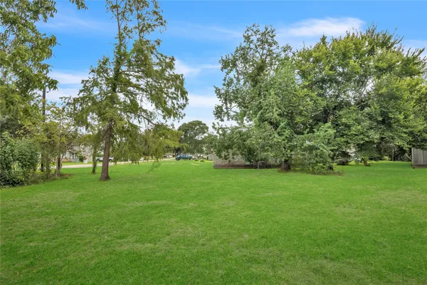 a view of a yard in front of a house with a yard