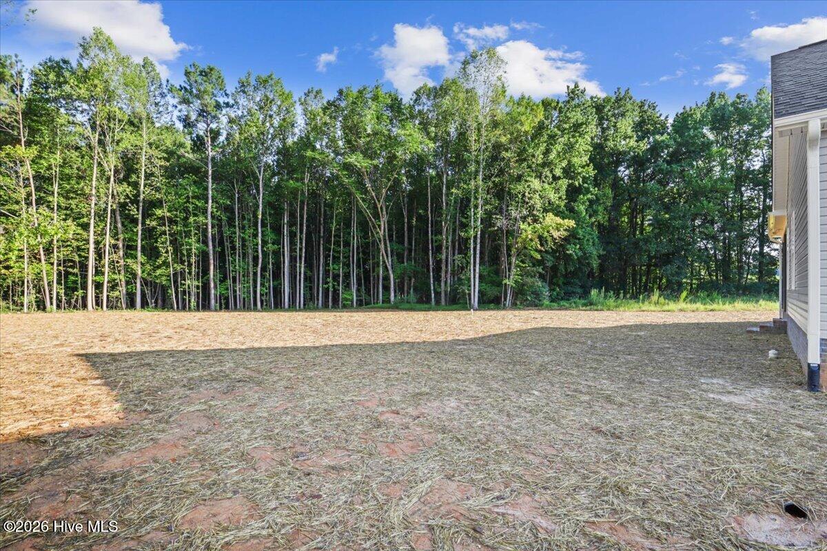 1575 South Big Woods Road Spring Hope, NC 27882 - Photo 36 of 37 Gallery Image 36