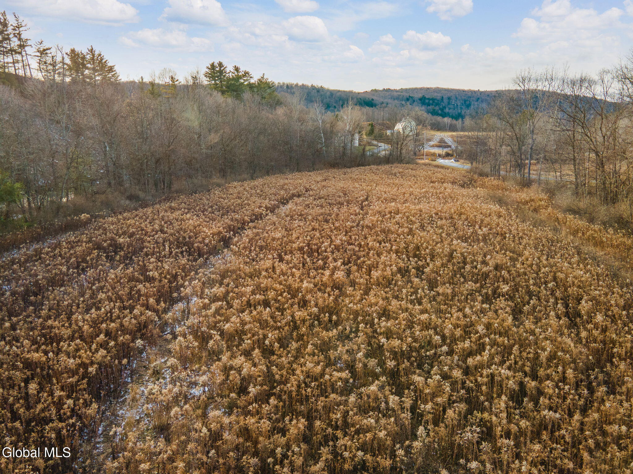 179 Patrick Road Cobleskill, NY 12043 - Photo 39 of 44 46-179PatrickRd_40