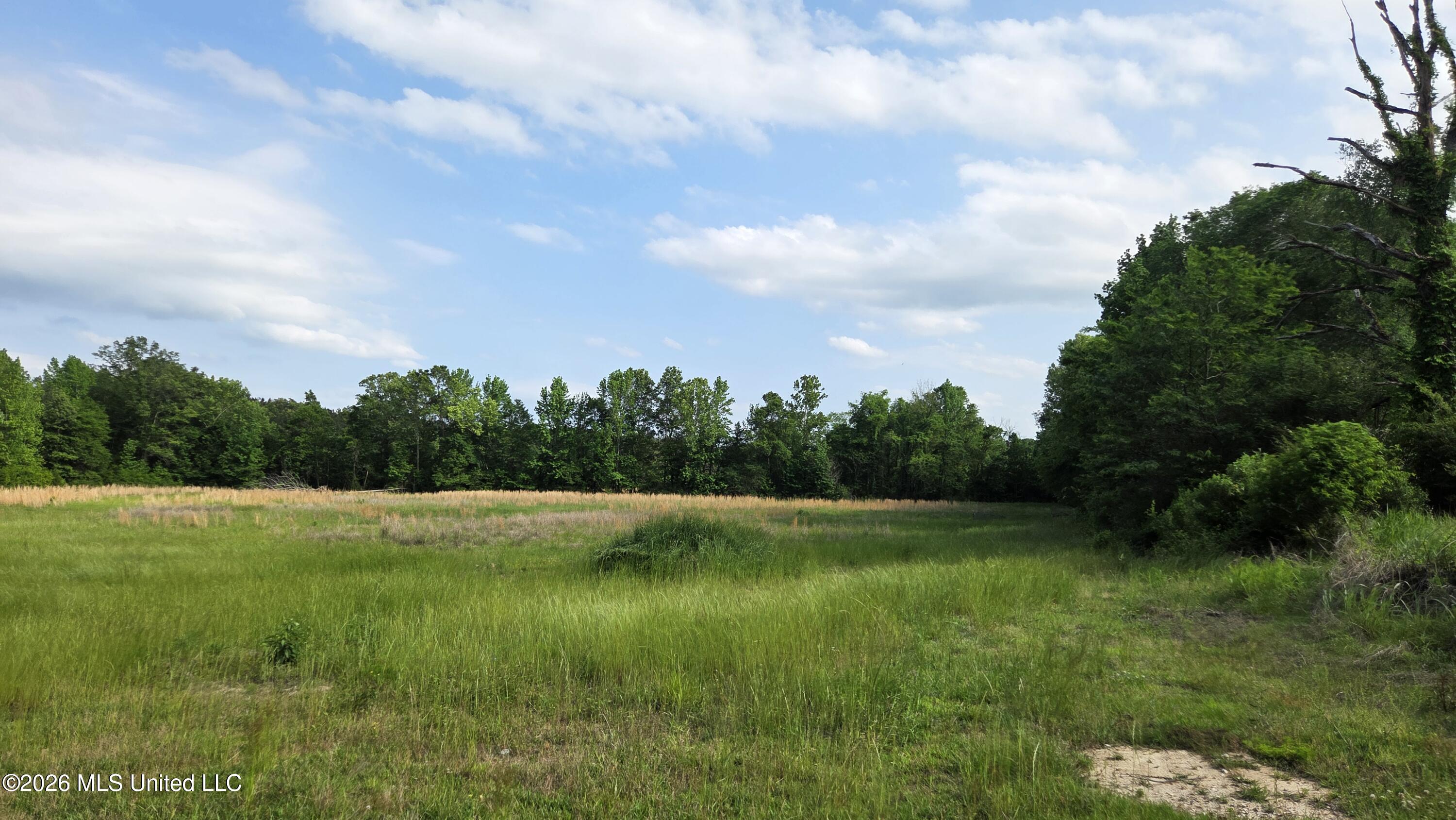 4845 Cayuga Road Utica, MS 39175 - Photo 21 of 21 20260427_164701