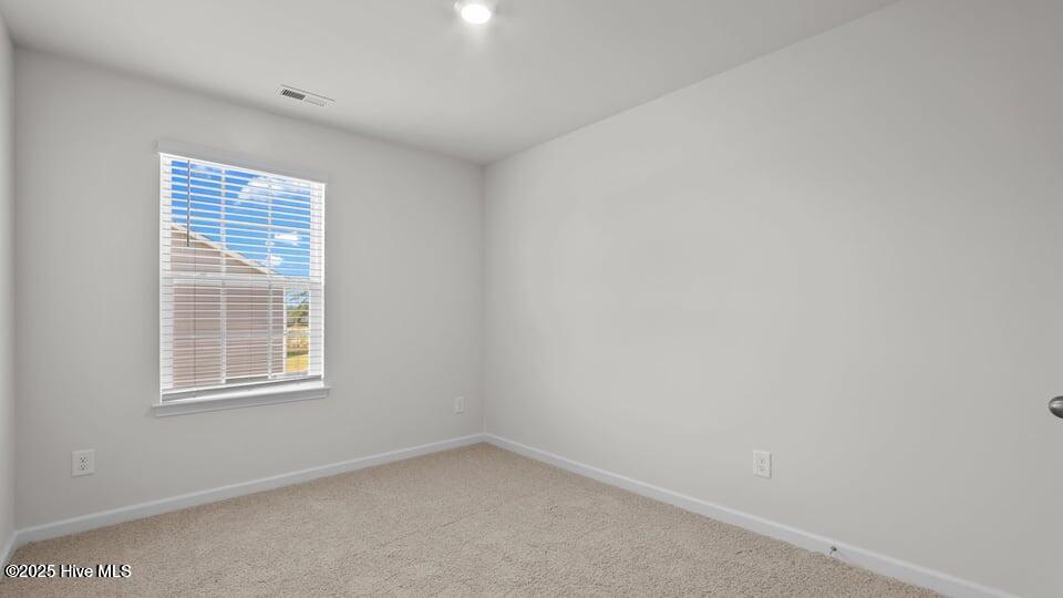 3500 Sunstone Way, Unit 5 Winterville, NC 28590 - Photo 30 of 45 int-BR-8