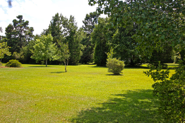 204 Mini-Farm Road Bonneau, SC 29431 - Photo 8 of 26 IMG_8059