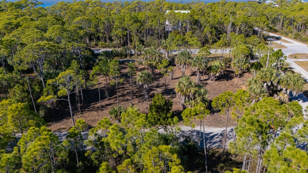 1944 Reed Court West St. George Island, FL 32328 - Photo 9 of 11