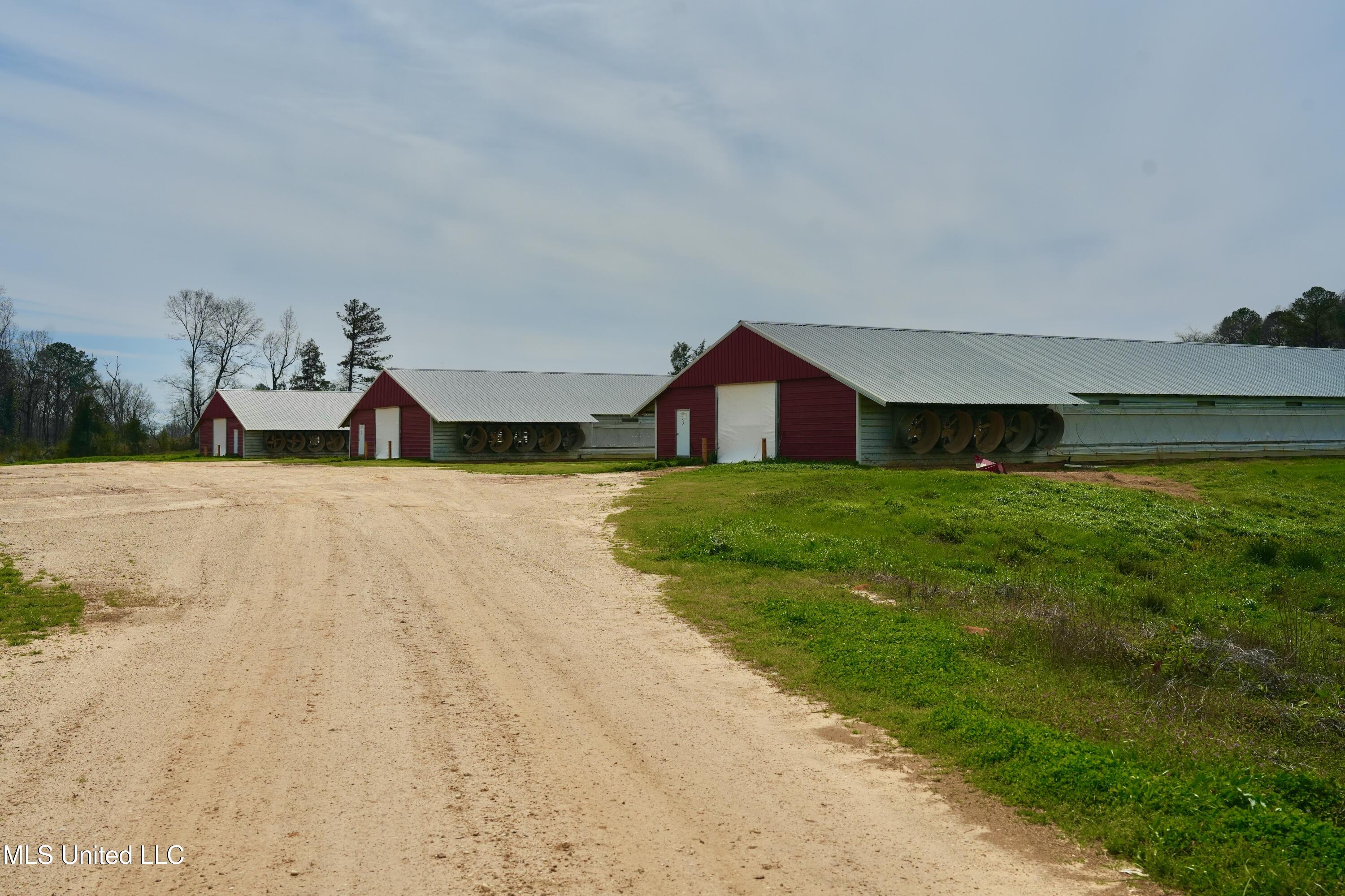 595 Mt Zion Road Prentiss, MS 39474 - Photo 15 of 39 DSC05607