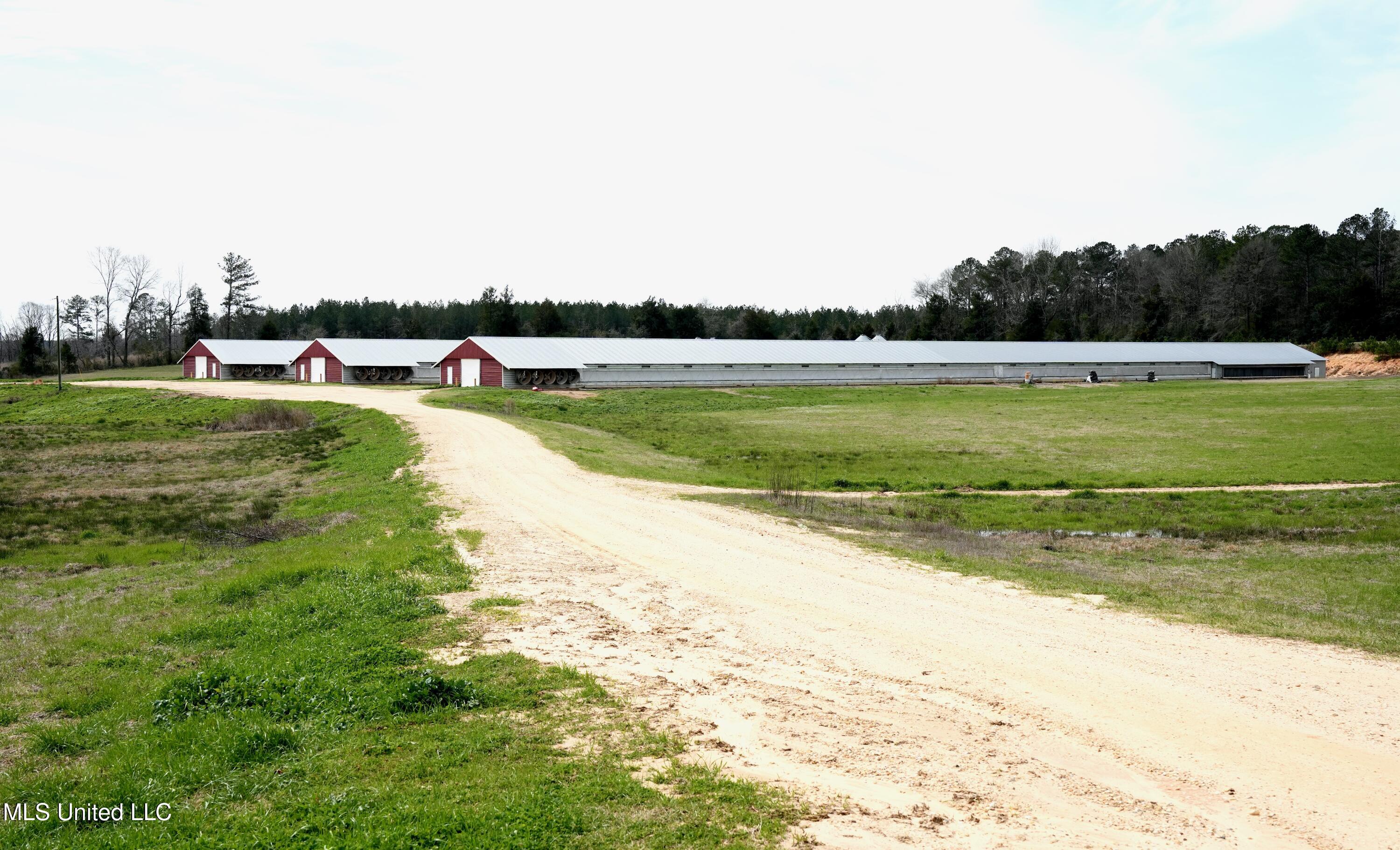 595 Mt Zion Road Prentiss, MS 39474 - Photo 2 of 39 DSC05408