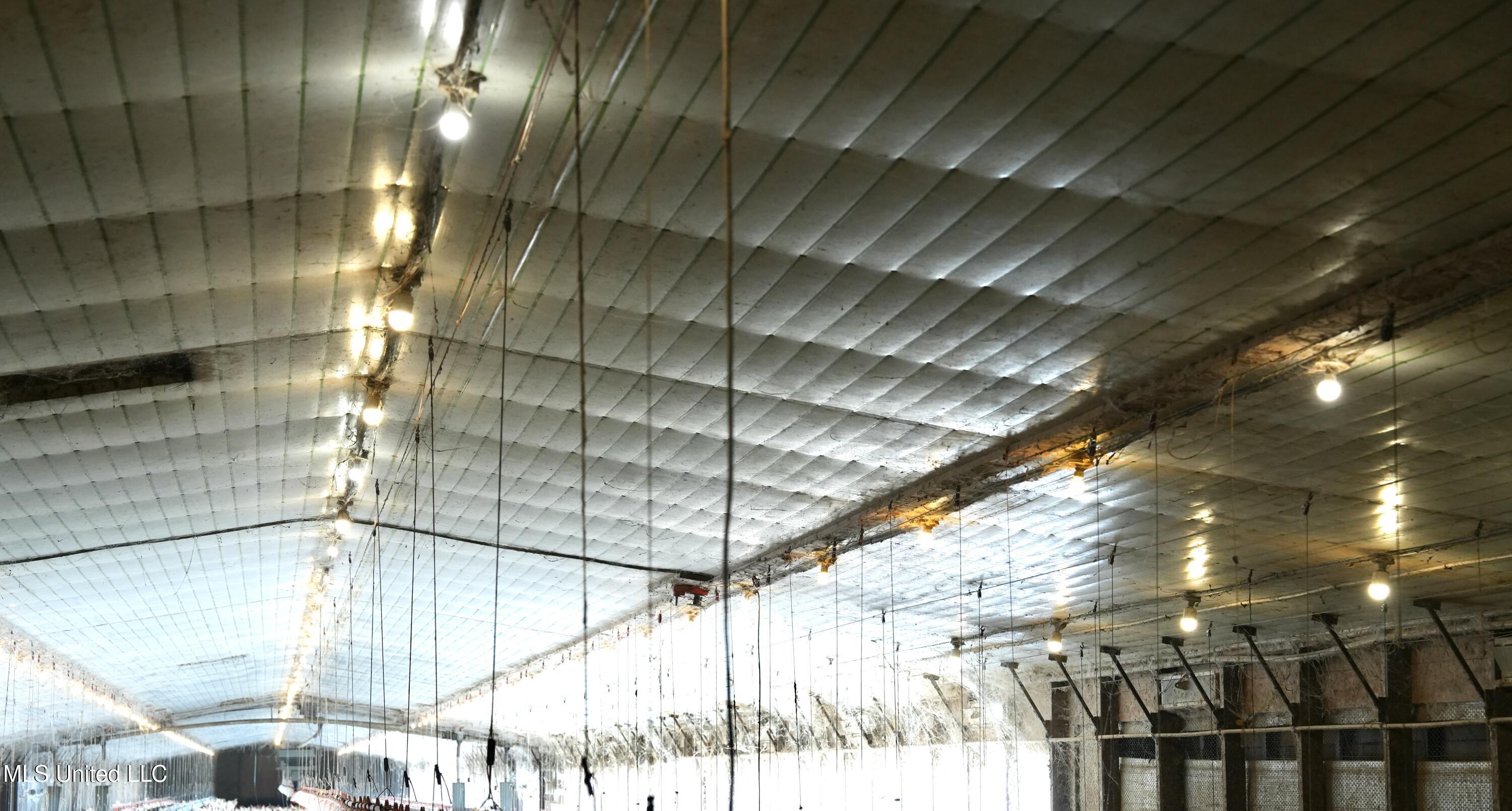 595 Mt Zion Road Prentiss, MS 39474 - Photo 26 of 39 DSC05471