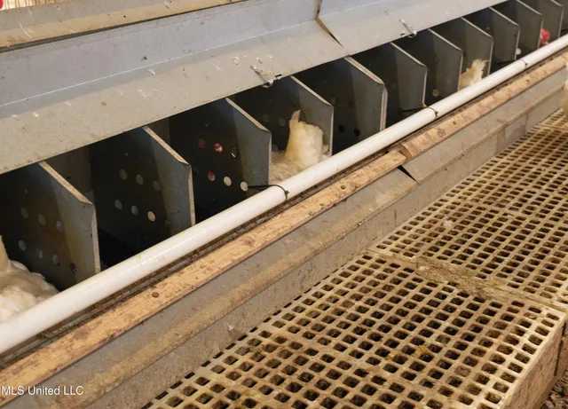 $1,593,000 | 595 Mt Zion Road, Prentiss, MS 39474