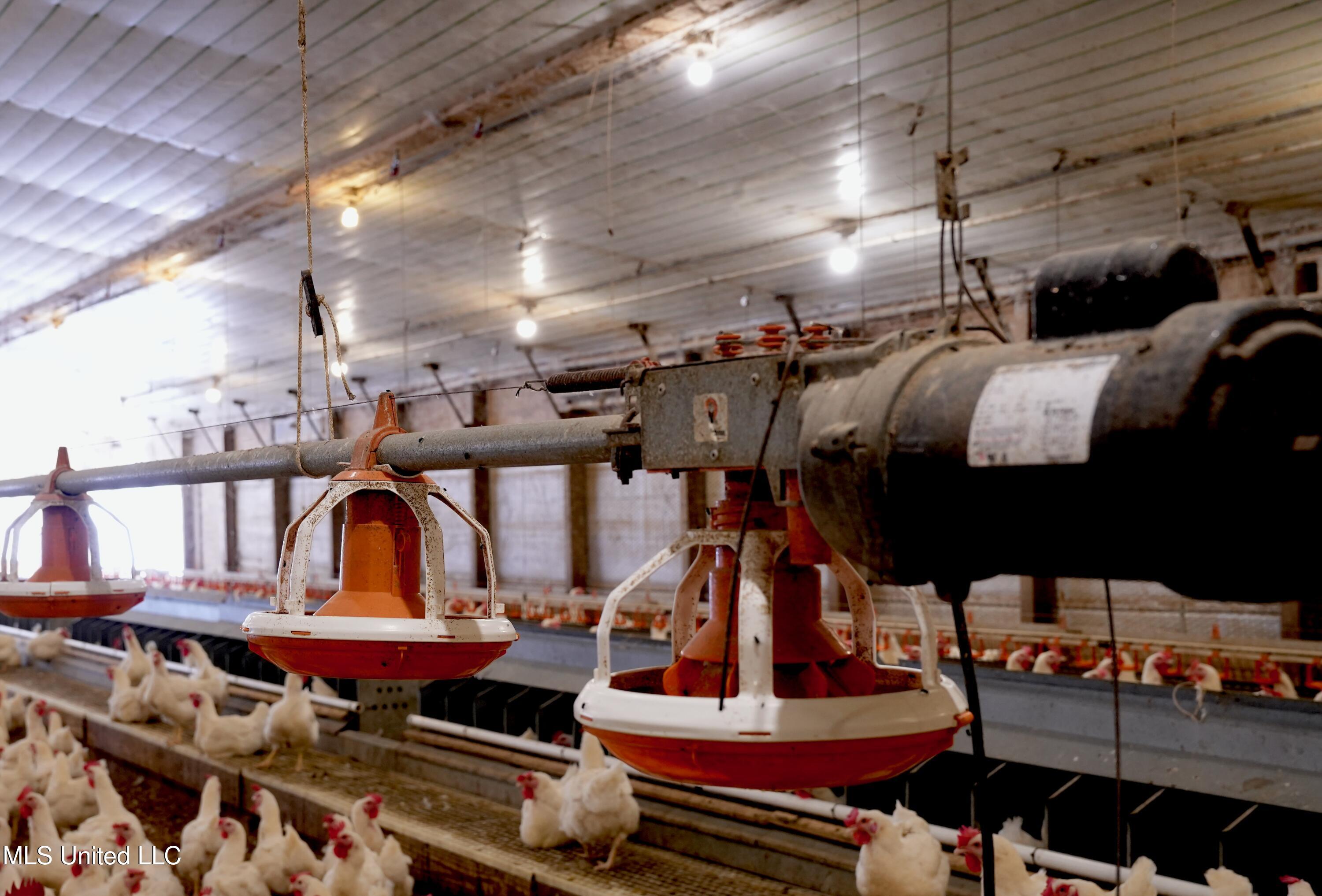 595 Mt Zion Road Prentiss, MS 39474 - Photo 28 of 39 DSC05482