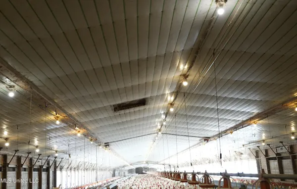 $1,593,000 | 595 Mt Zion Road, Prentiss, MS 39474