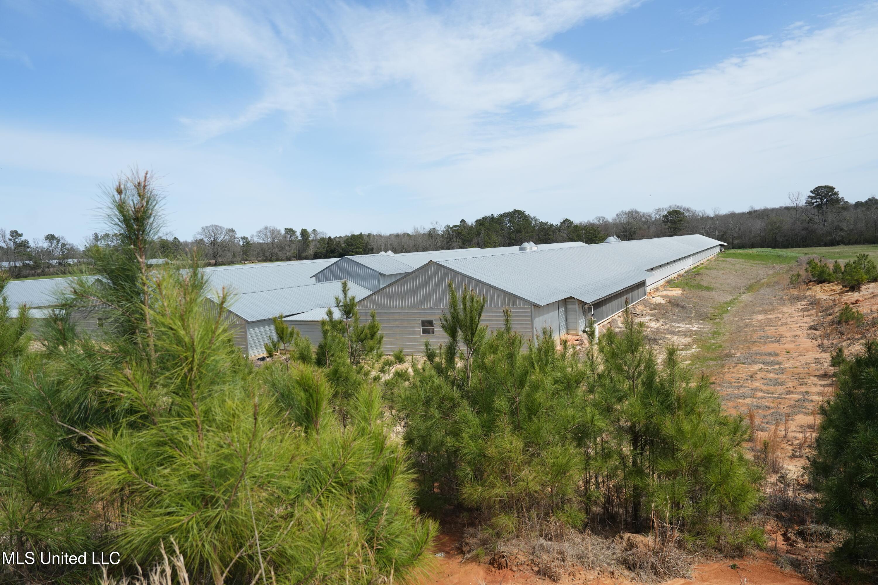 595 Mt Zion Road Prentiss, MS 39474 - Photo 32 of 39 DSC05541