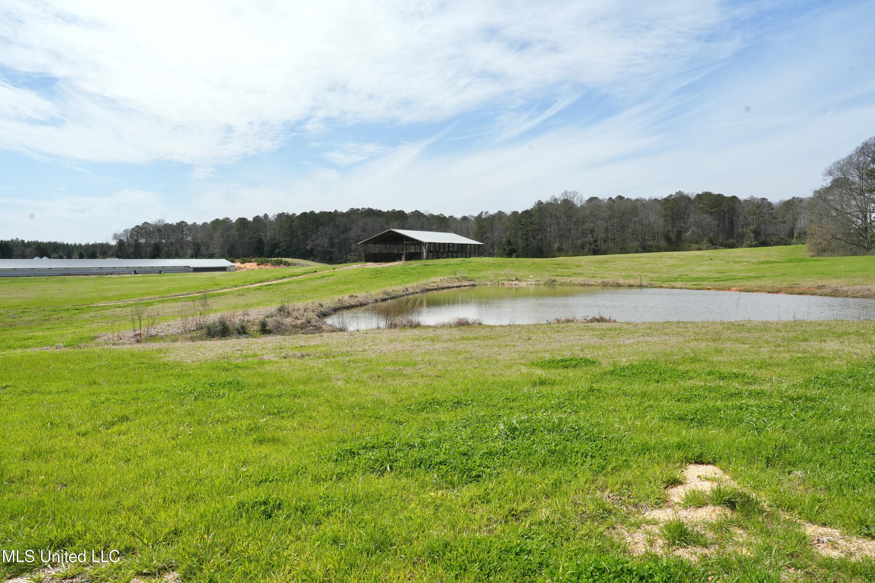 595 Mt Zion Road Prentiss, MS 39474 - Photo 33 of 39 DSC05570