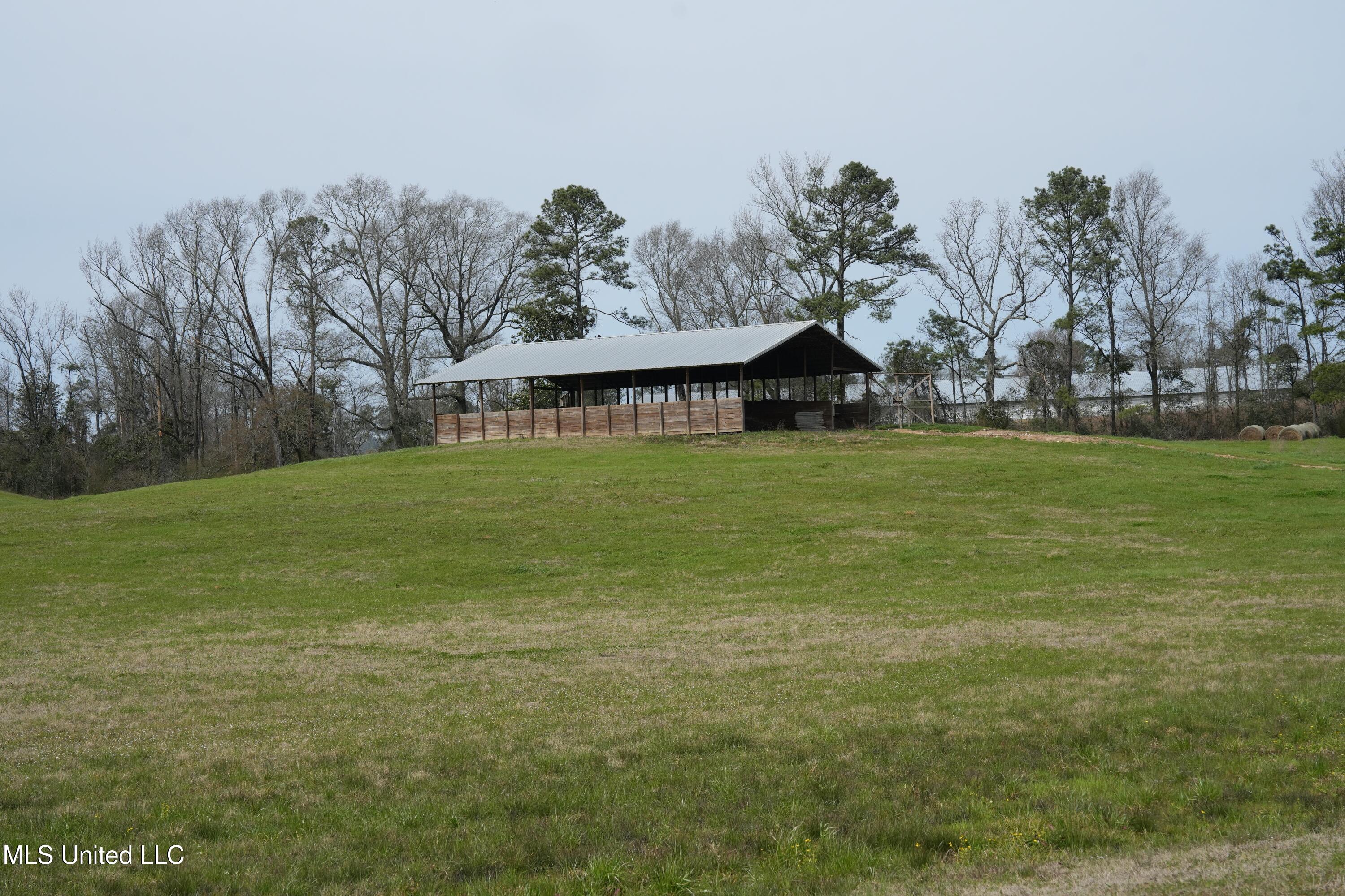 595 Mt Zion Road Prentiss, MS 39474 - Photo 38 of 39 DSC05611