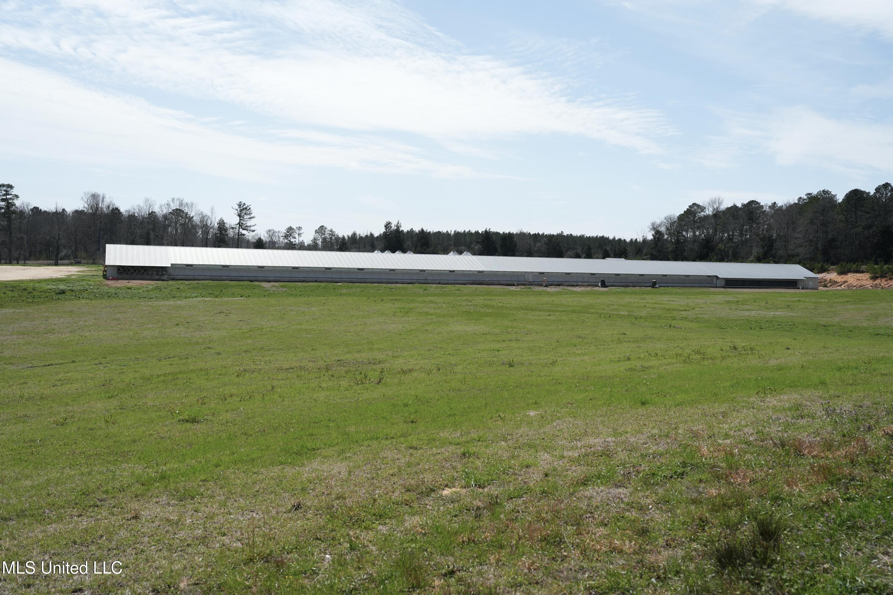 595 Mt Zion Road Prentiss, MS 39474 - Photo 7 of 39 DSC05519