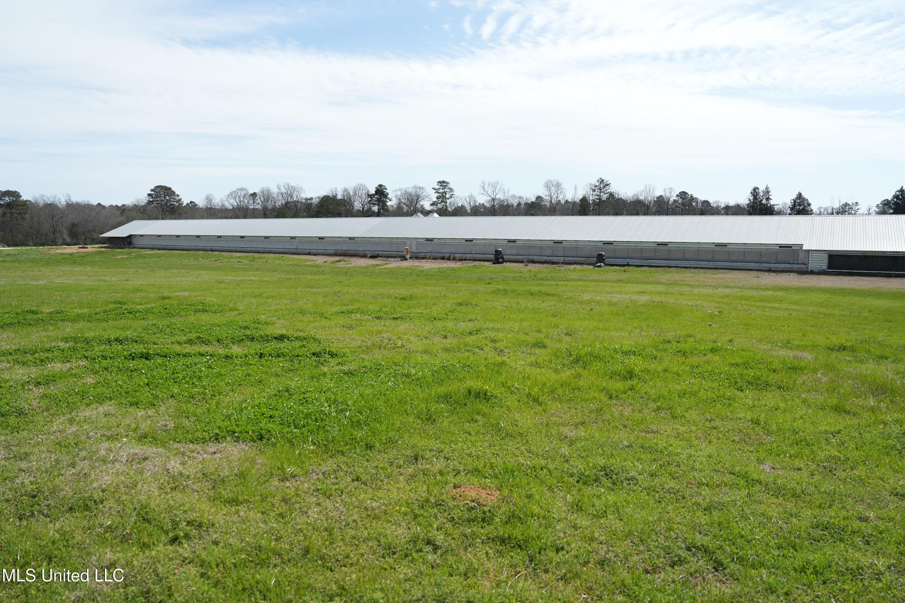 595 Mt Zion Road Prentiss, MS 39474 - Photo 8 of 39 DSC05521