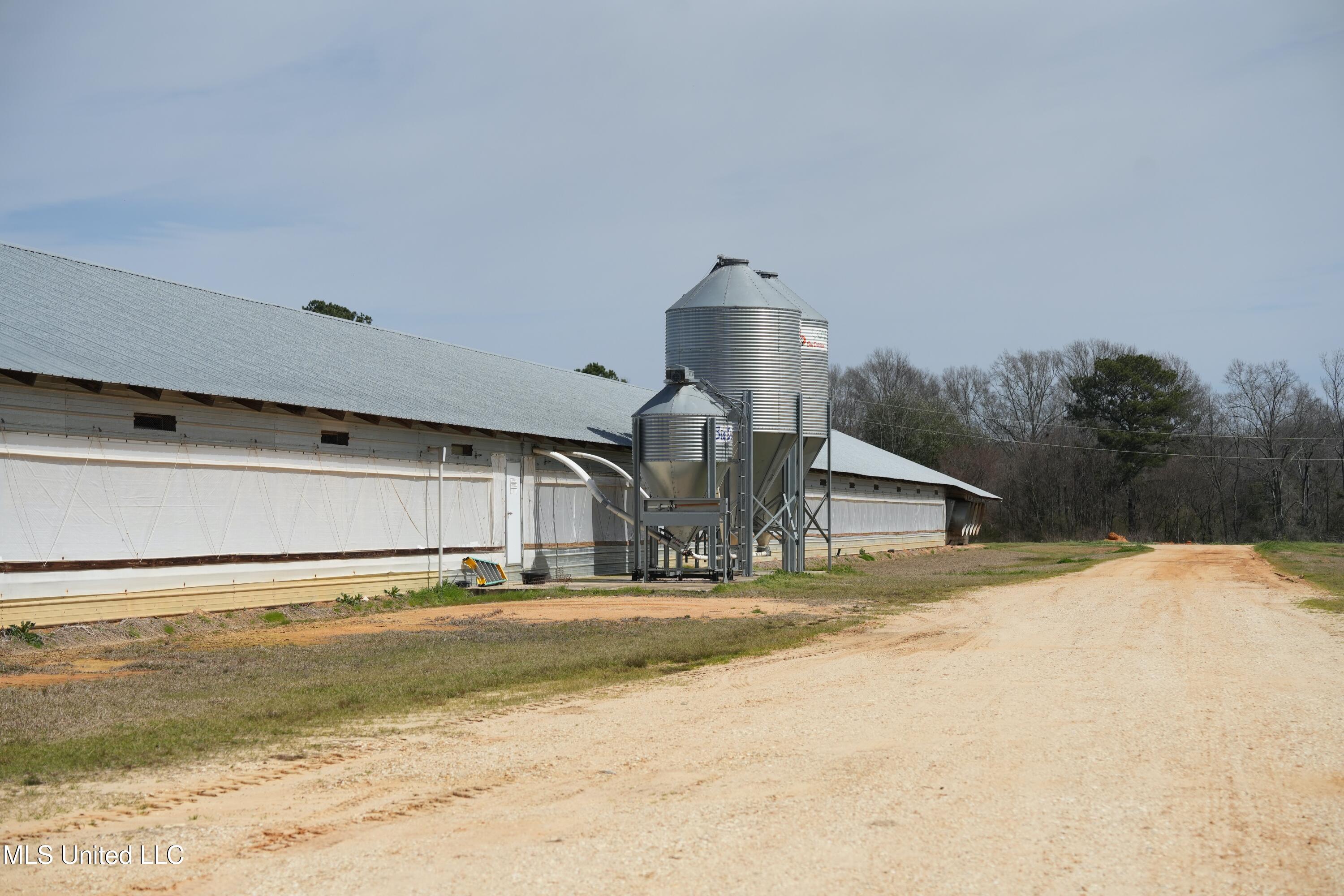 595 Mt Zion Road Prentiss, MS 39474 - Photo 10 of 39 DSC05502