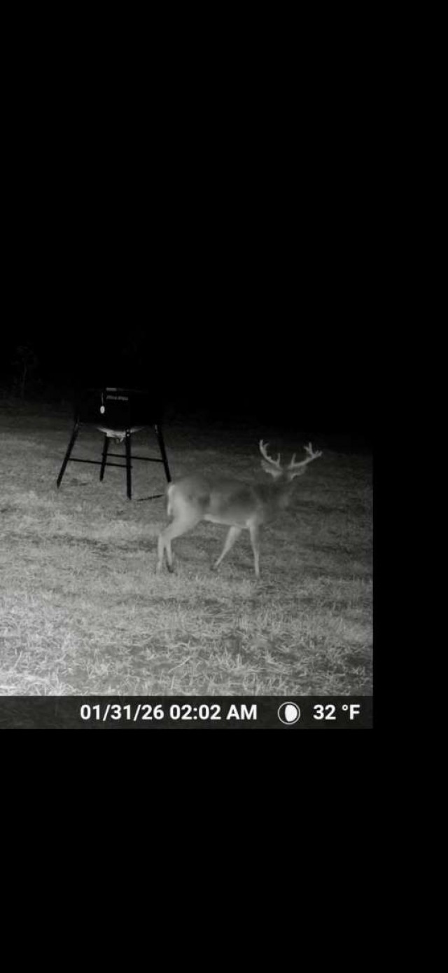 0 Sealy Wells Road Gordon, AL 36343 - Photo 2 of 25