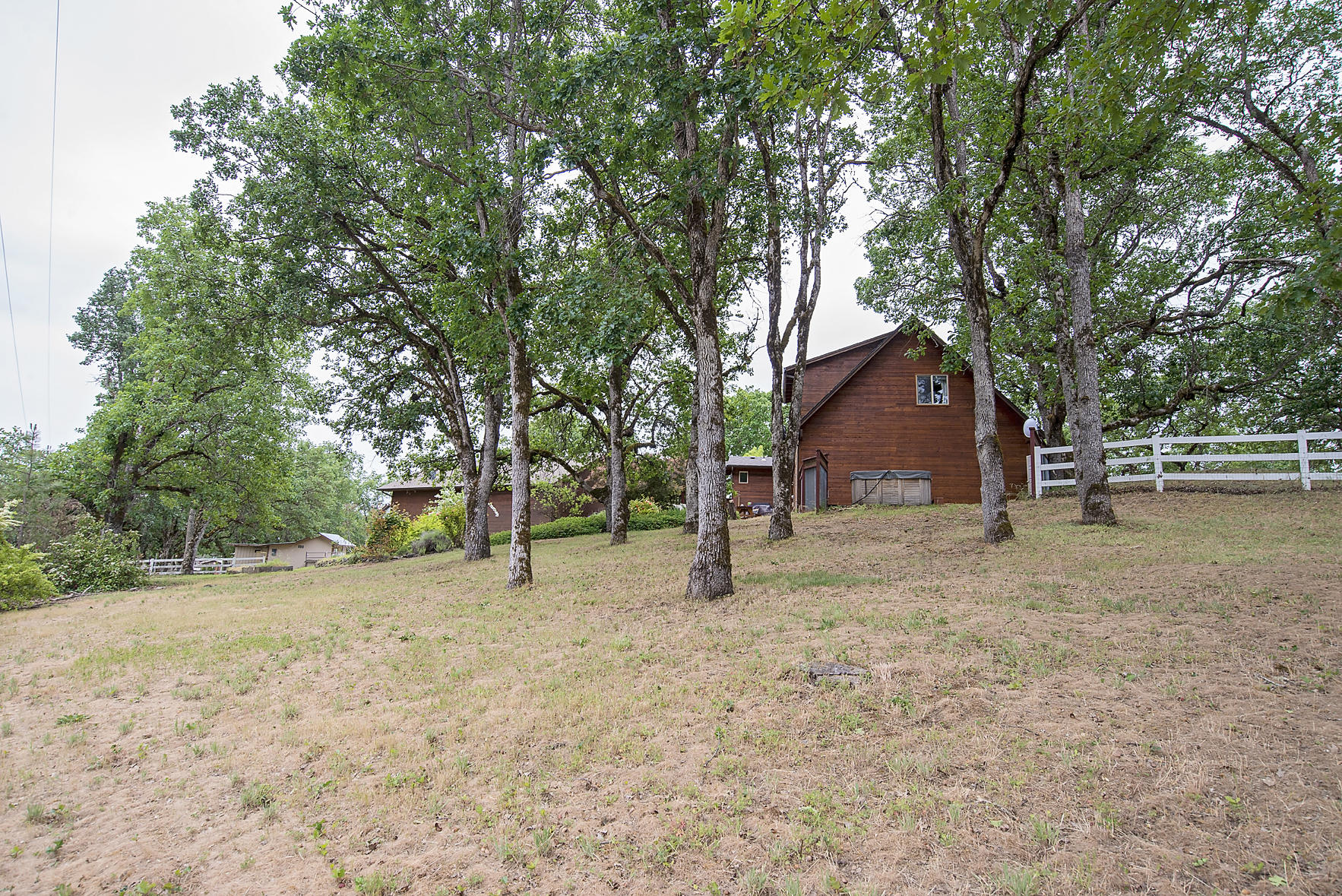 11754 Dixie Road White City, OR 97503 - Photo 36 of 38 a dirt road with large trees