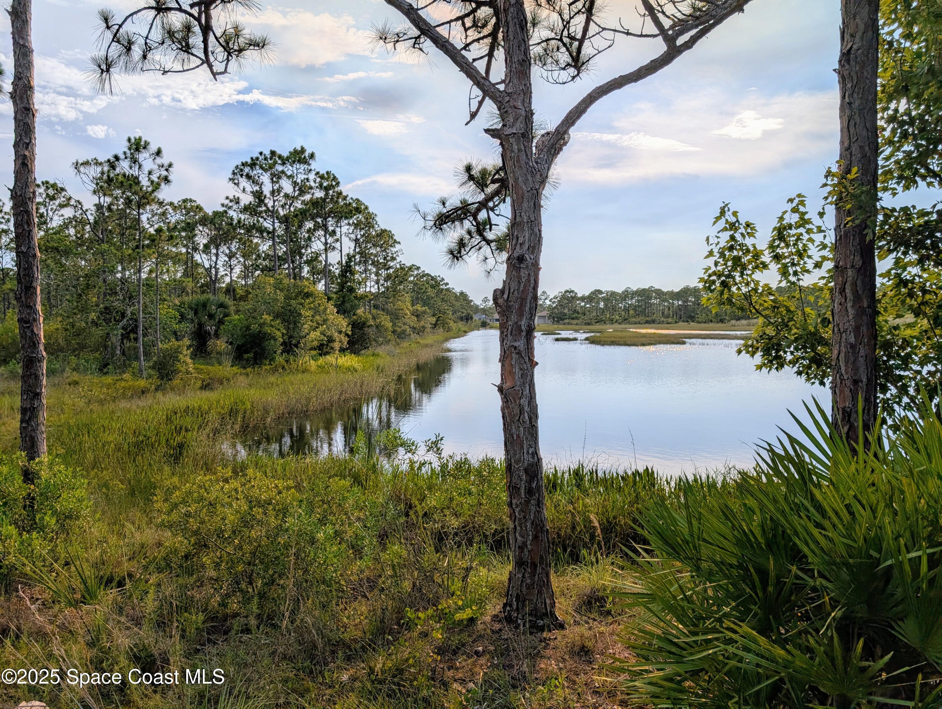 0 Unknown Road Grant, FL 32949 - Photo 2 of 36 a view of a lake from a yard
