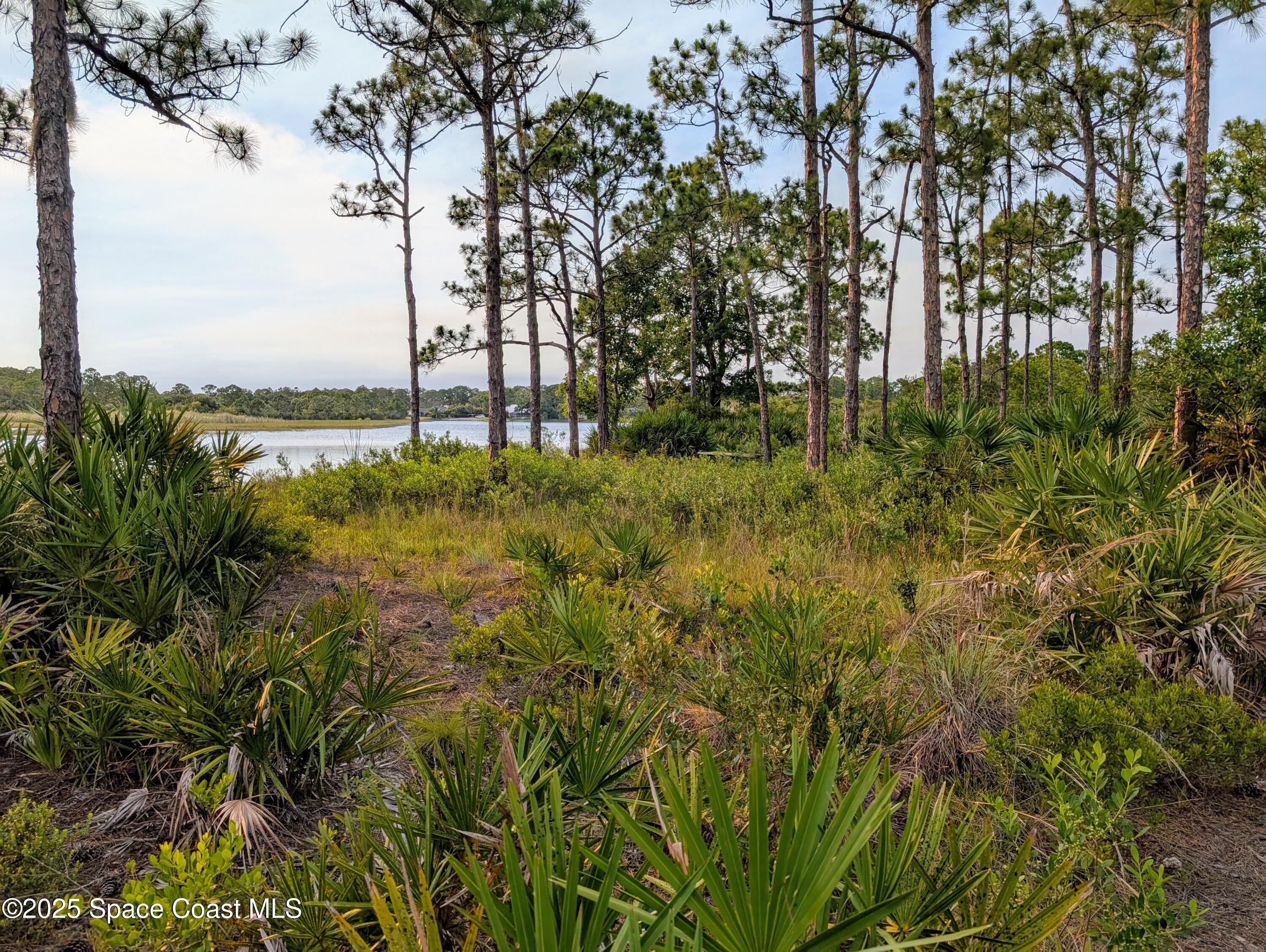 0 Unknown Road Grant, FL 32949 - Photo 23 of 36 a view of a garden
