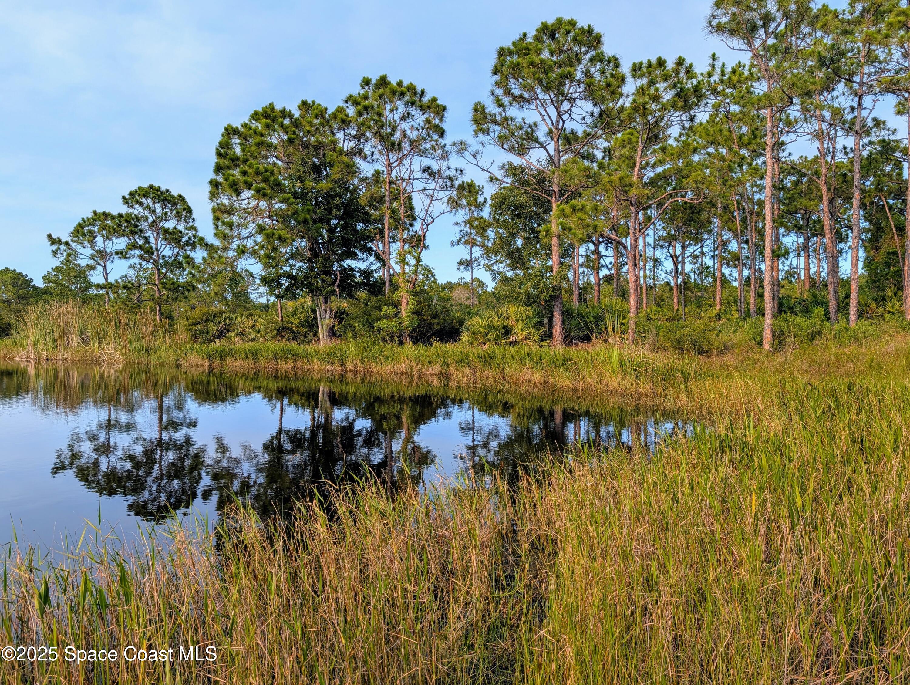 0 Unknown Road Grant, FL 32949 - Photo 27 of 36