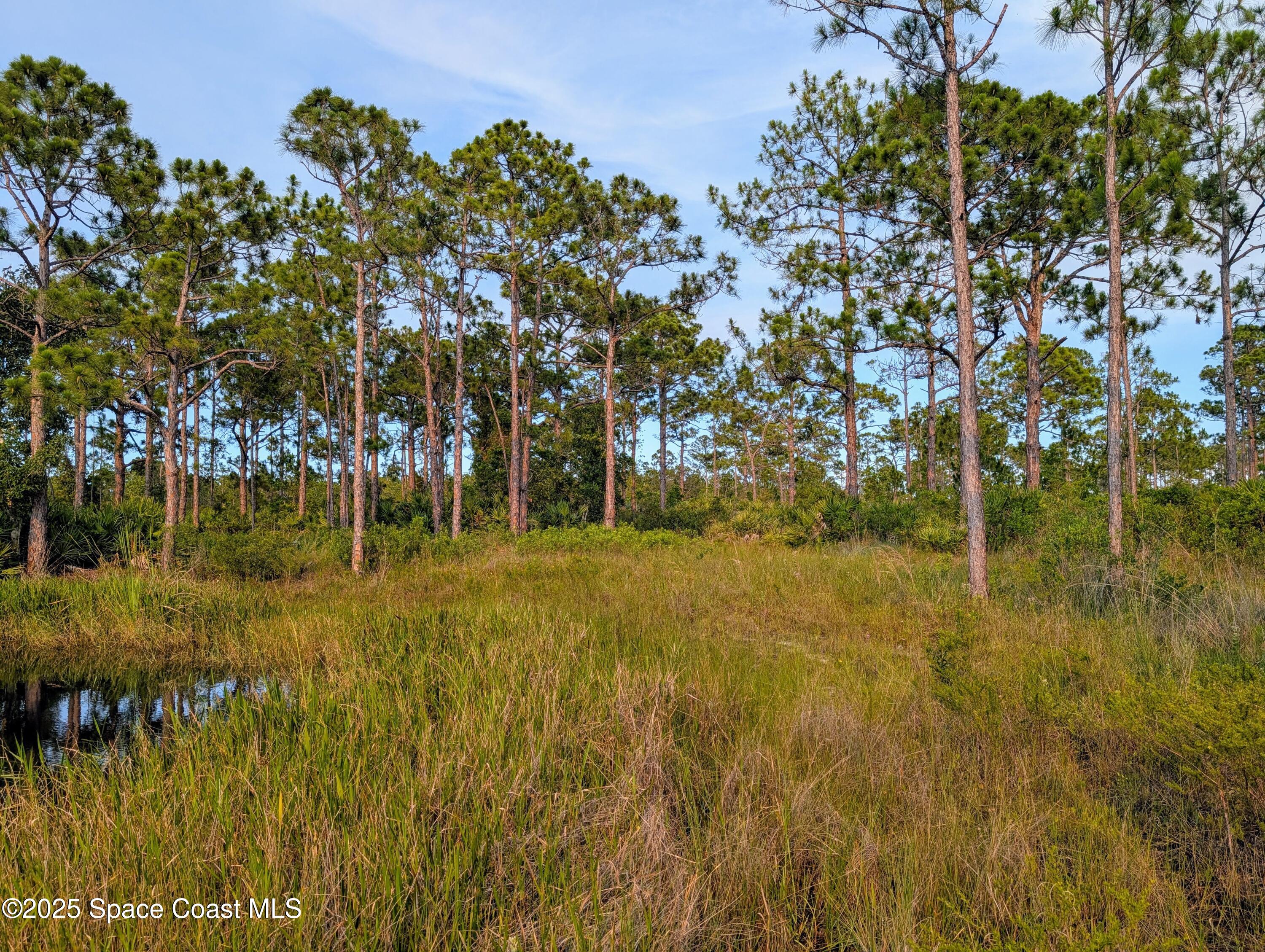 0 Unknown Road Grant, FL 32949 - Photo 28 of 36 a view of yard with green space