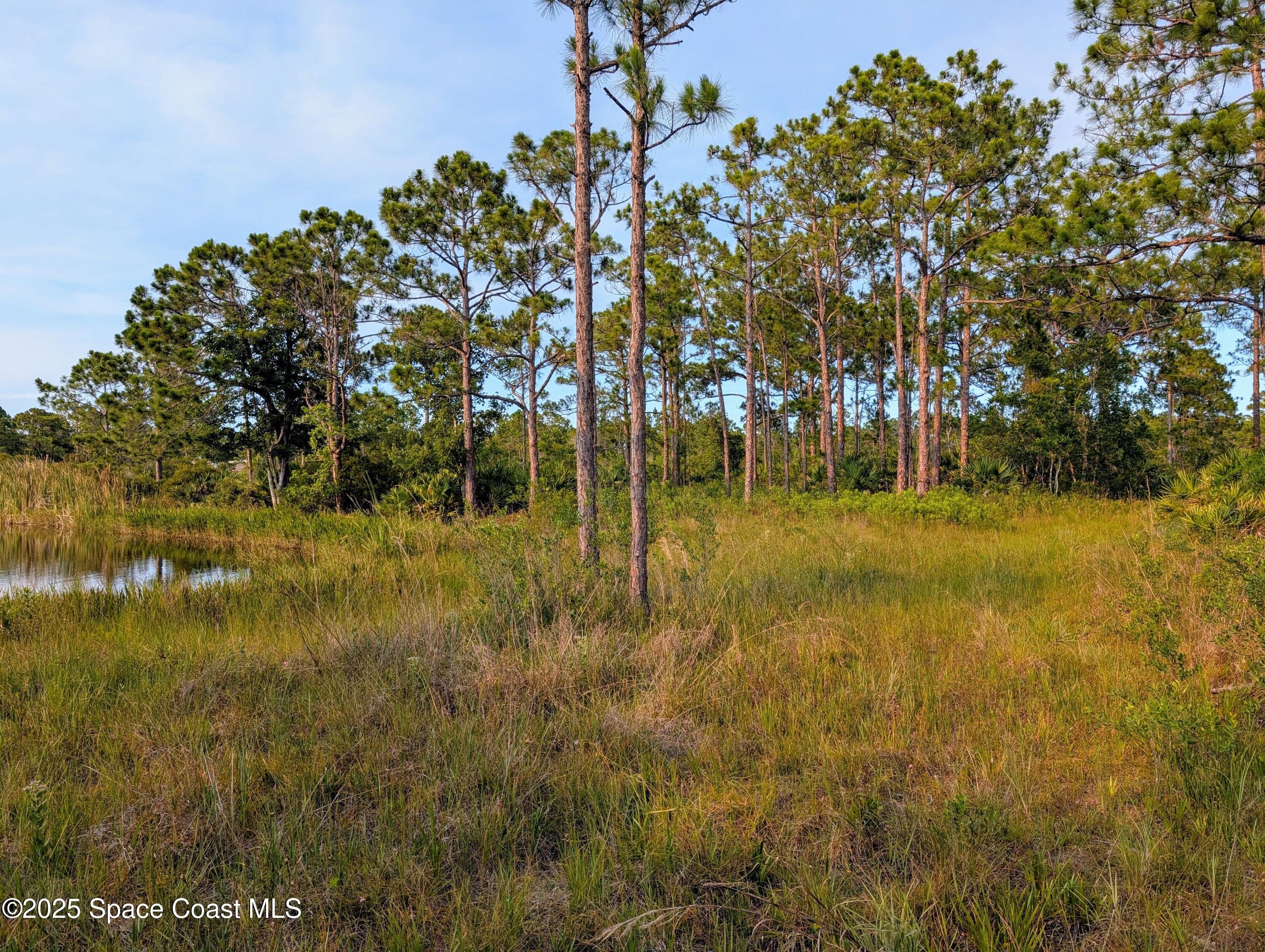 0 Unknown Road Grant, FL 32949 - Photo 29 of 36 a view of yard with green space
