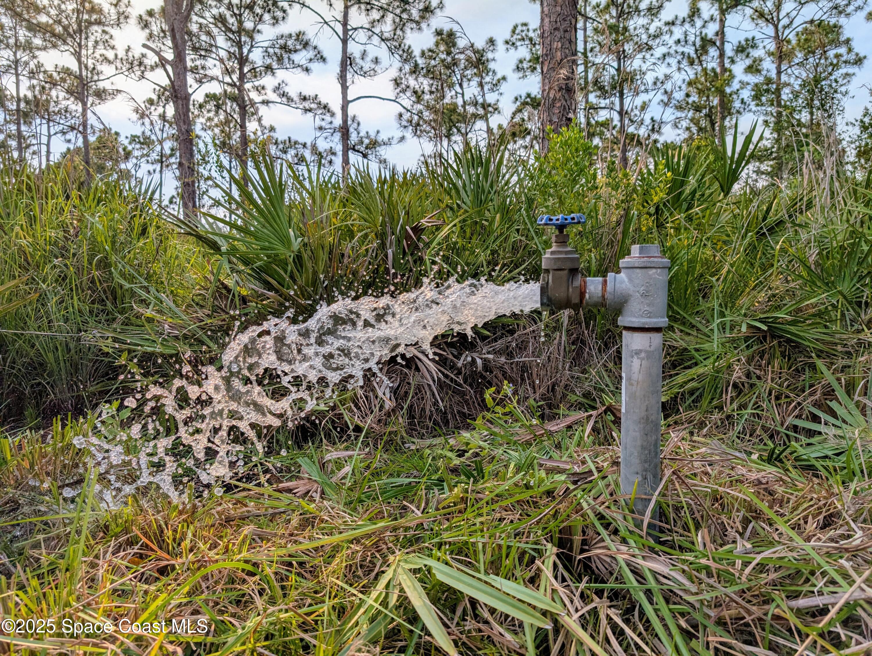 0 Unknown Road Grant, FL 32949 - Photo 32 of 36 a view of outdoor space and a yard
