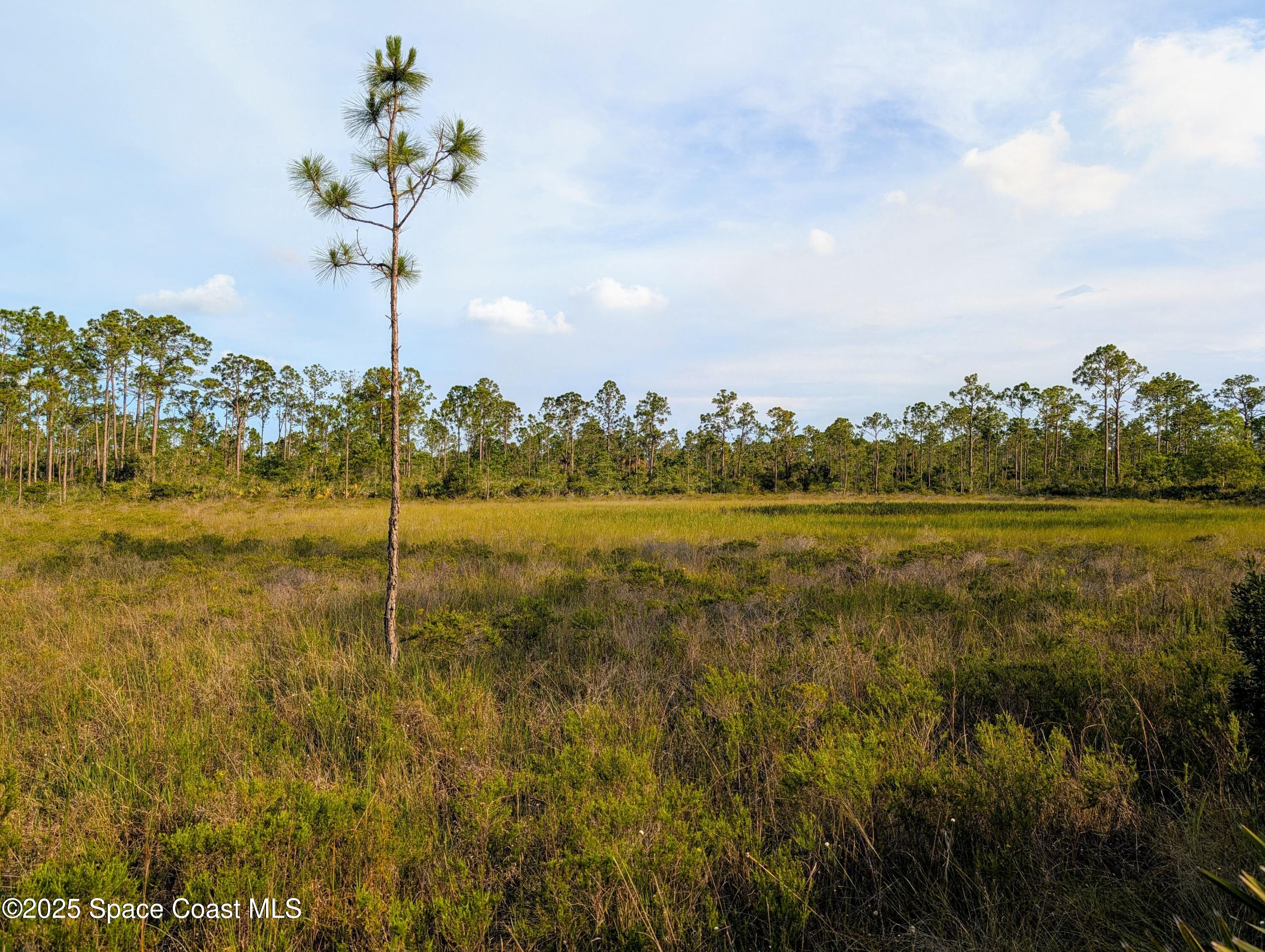 0 Unknown Road Grant, FL 32949 - Photo 34 of 36 a view of a lake