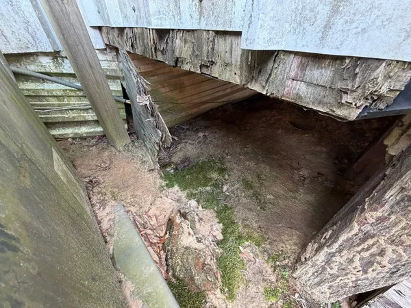 a view of a house with a tree