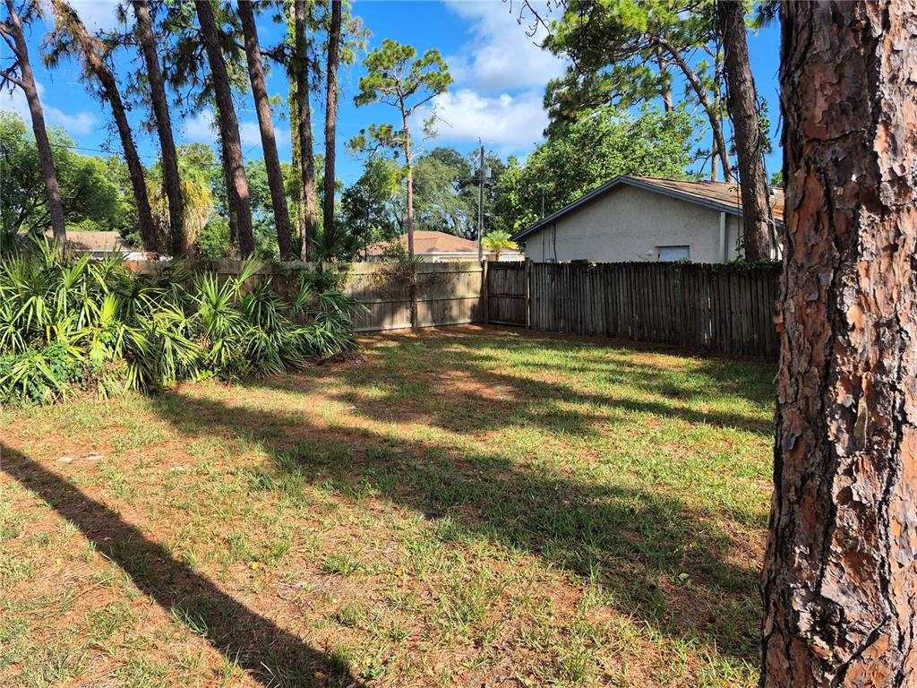6616 Hone Street New Port Richey, FL 34653 - Photo 14 of 23