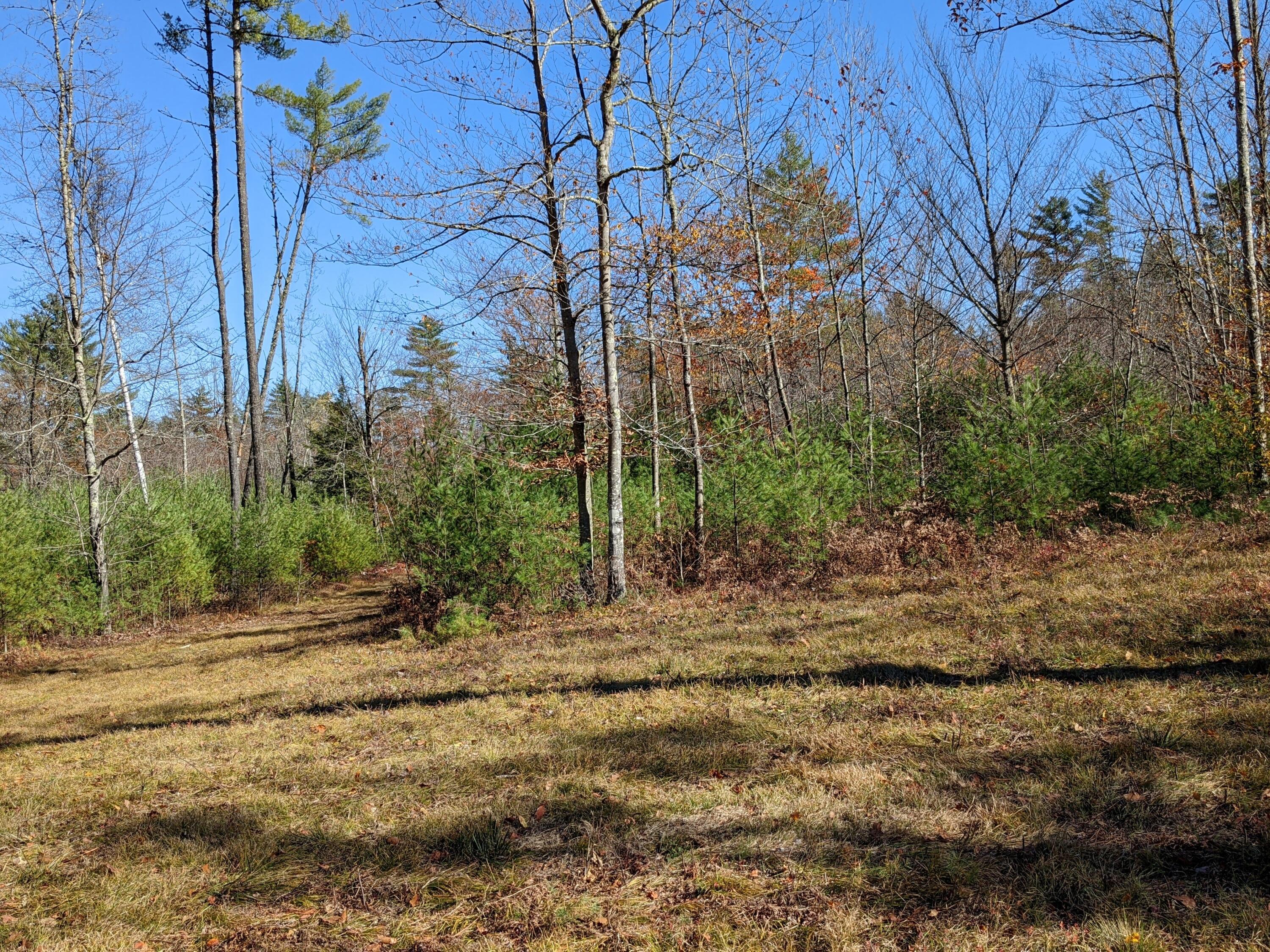 Lot # Highland Park Road Fryeburg, ME 04037 - Photo 6 of 15 Area between lot C and D