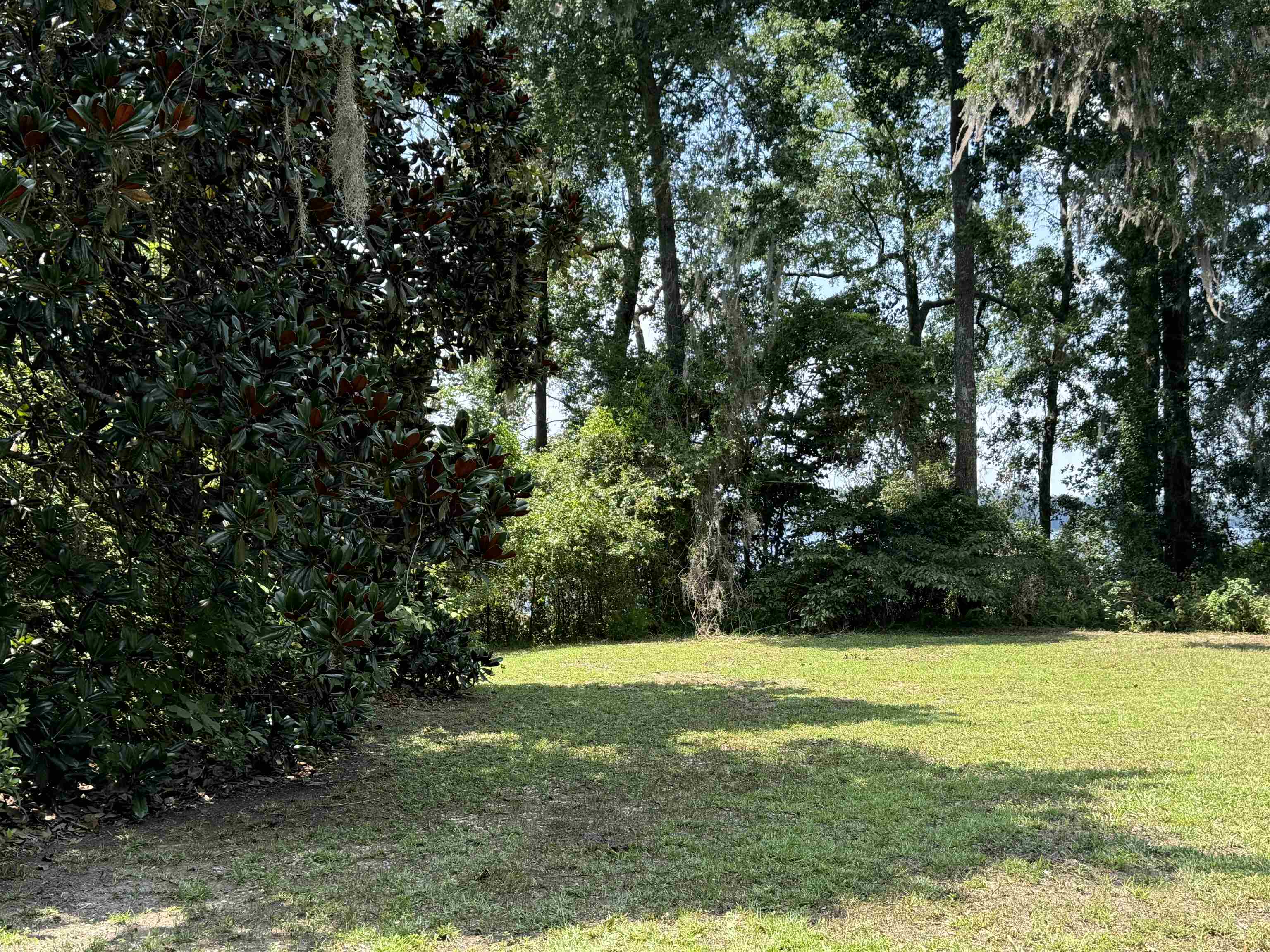 Parramore Shores Road Tallahassee, FL 32310 - Photo 17 of 31