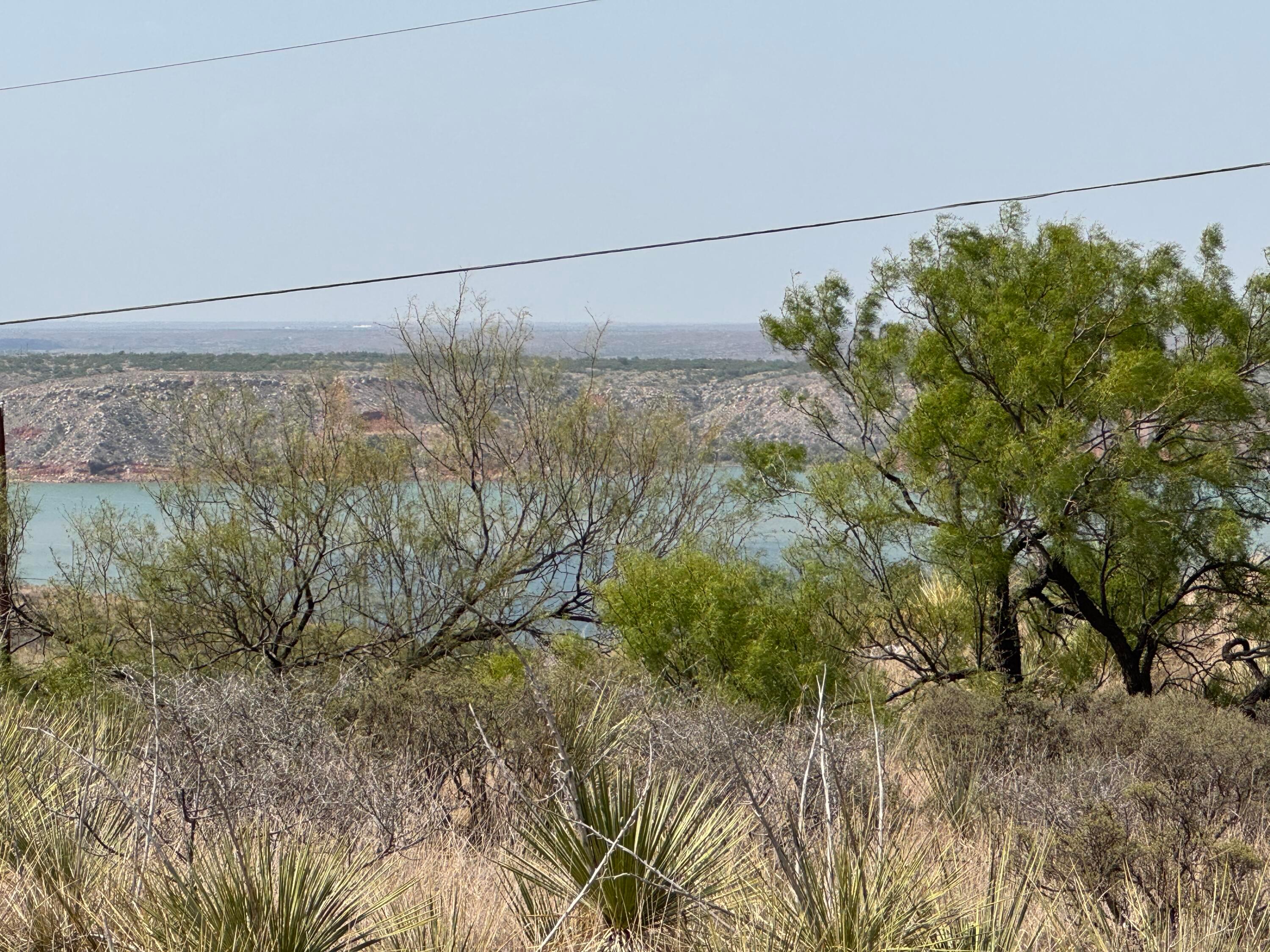 0 Janis Fritch, TX 79036 - Photo 3 of 12 IMG_8275