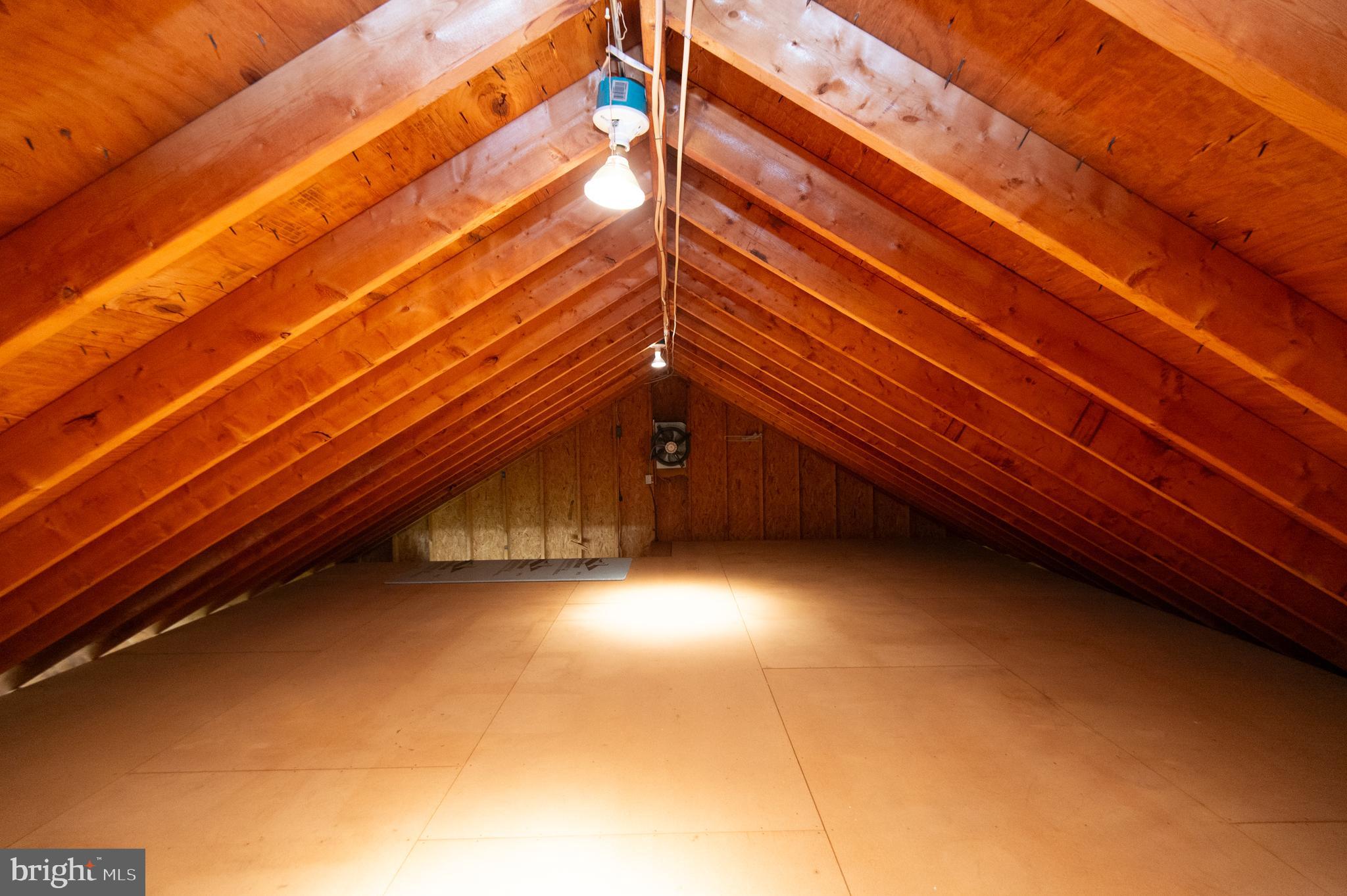 409 Bayly Avenue Cambridge, MD 21613 - Photo 48 of 54 a view of an outdoor space