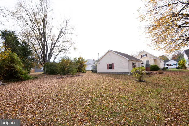 a house with a tree in front of it