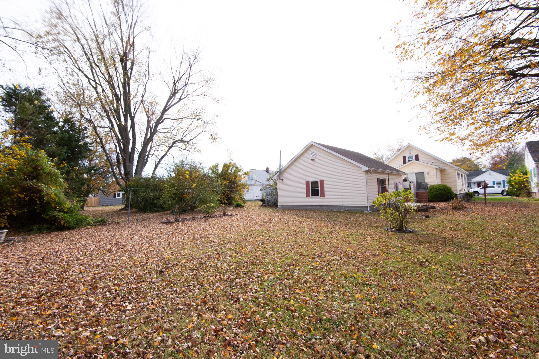 409 Bayly Avenue Cambridge, MD 21613 - Photo 5 of 54 a house with a tree in front of it