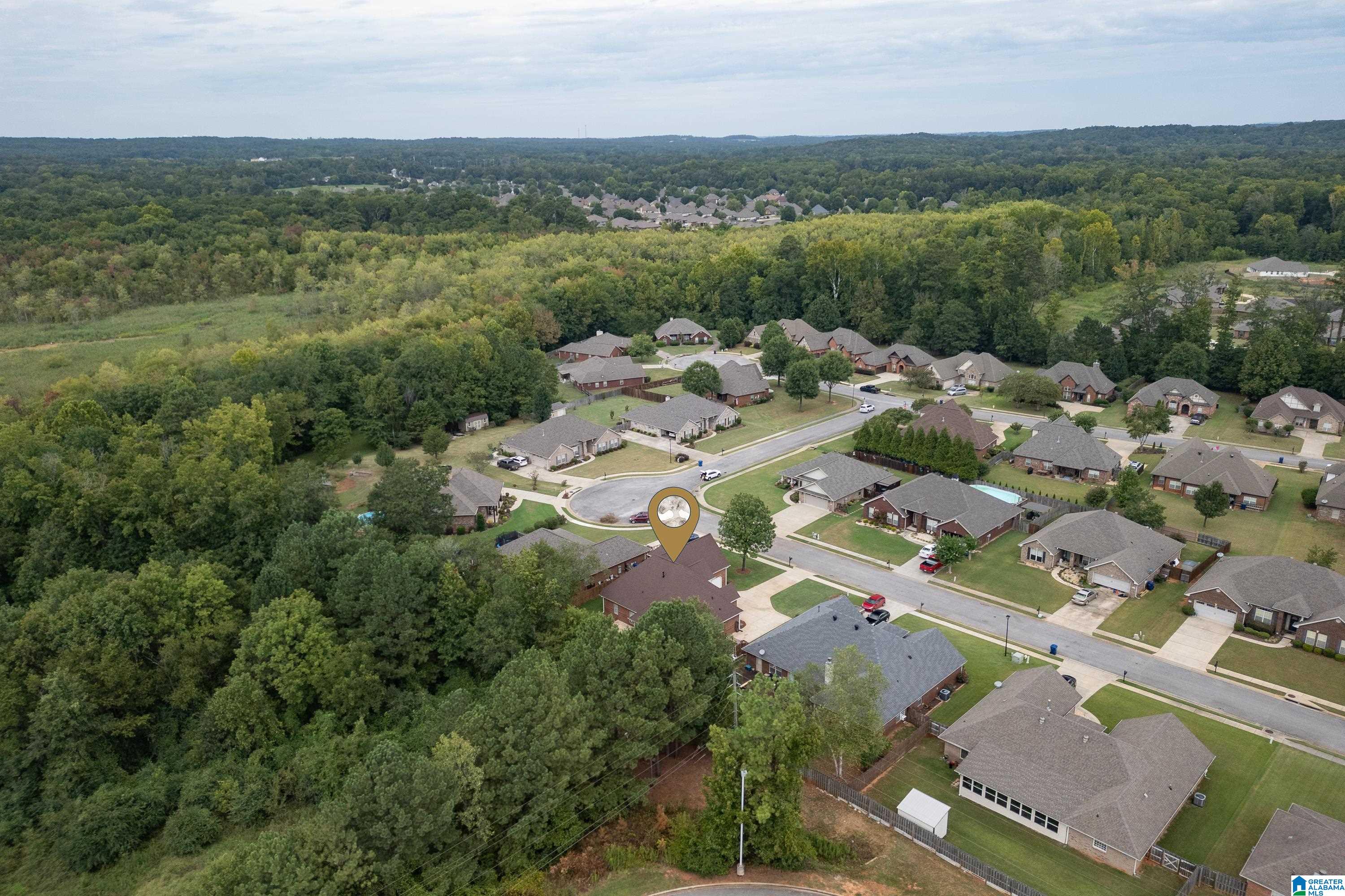 310 Tanglewood Circle Alabaster, AL 35007 - Photo 38 of 41