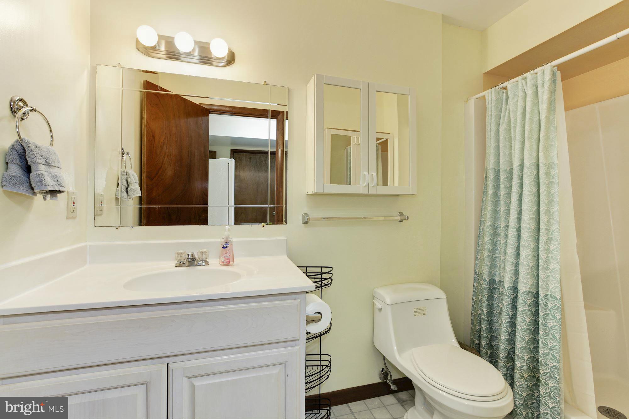 6627 Old Chesterbrook Road McLean, VA 22101 - Photo 26 of 28 Basement Full Bath