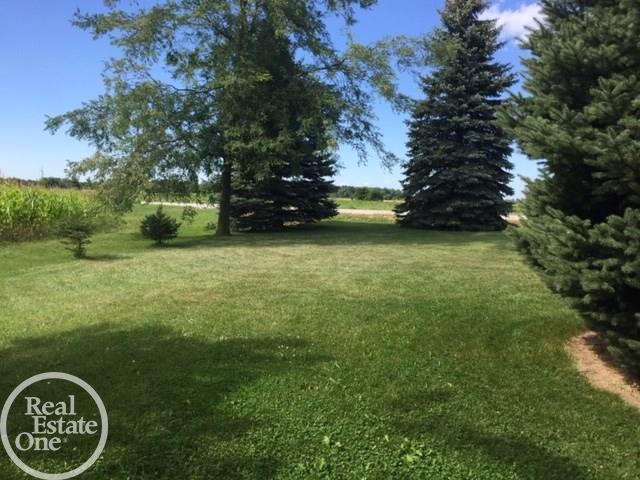 4775 McIntyre Road North Street, MI 48049 - Photo 63 of 69