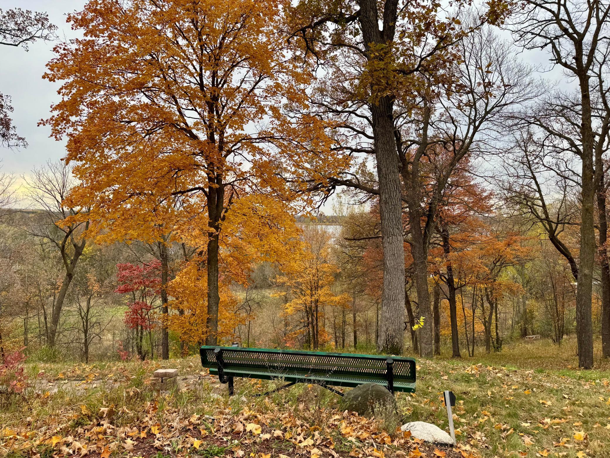 21334 Clay Lane Erhard, MN 56534 - Photo 8 of 20