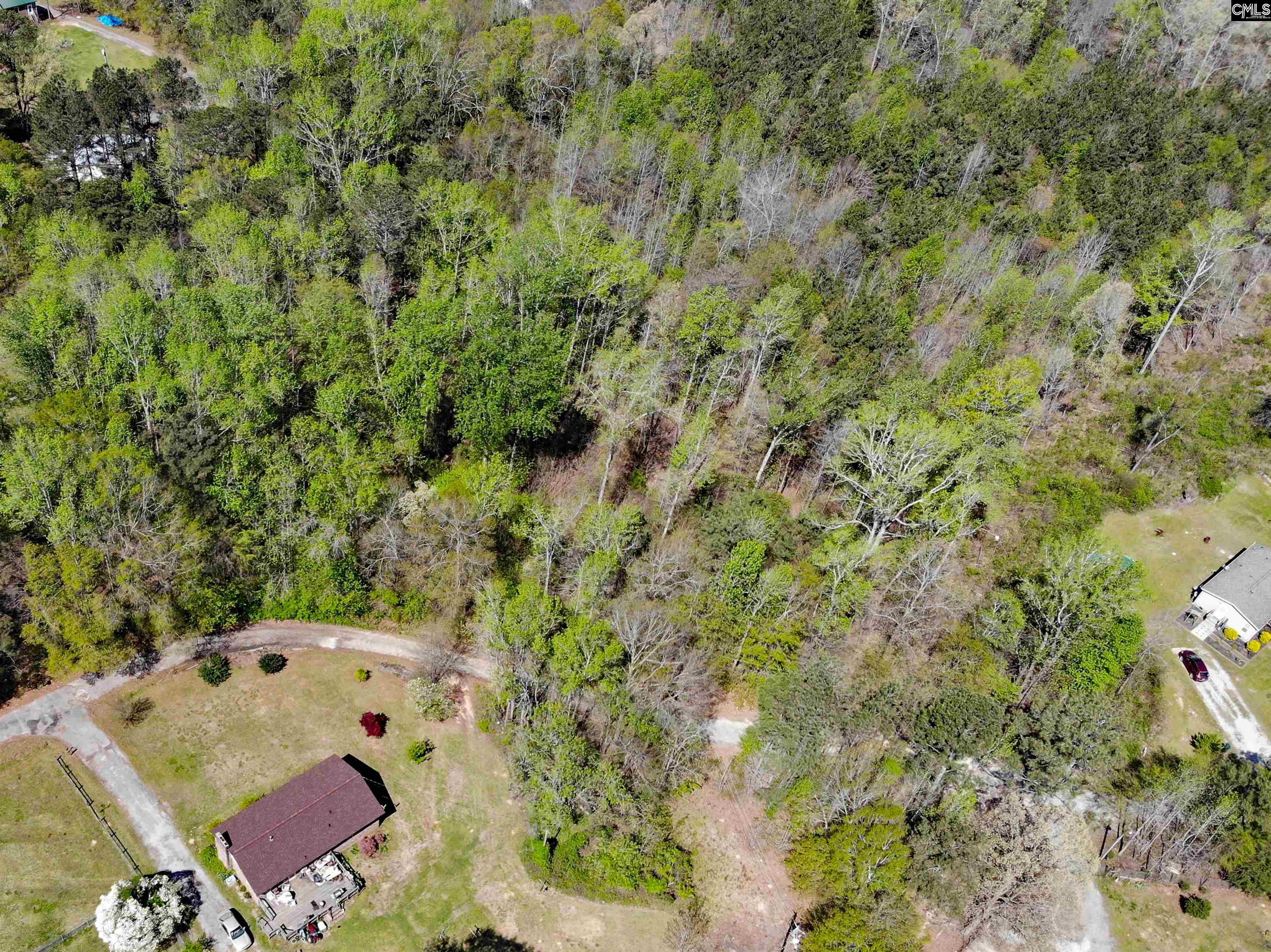 Tbd James Road Joanna, SC 29351 - Photo 5 of 82