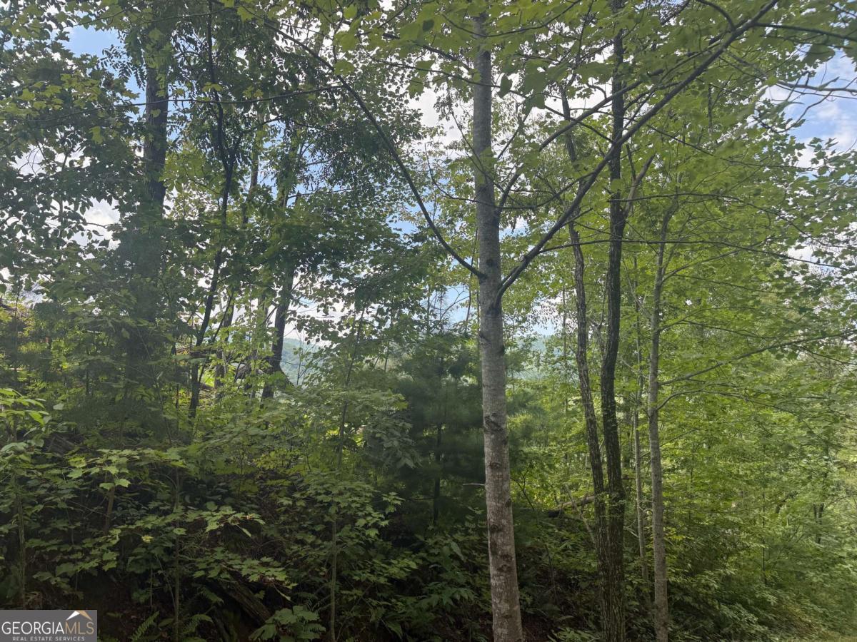 0 Bethabara View, Unit 11 Hayesville, NC 28904 - Photo 11 of 11